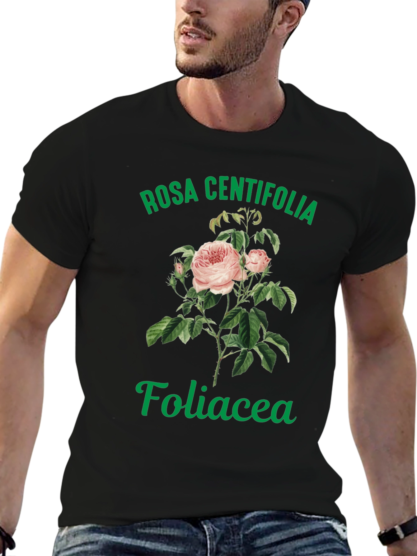 Black Rosa Centifolia Foliacea Graphic Tee view 6