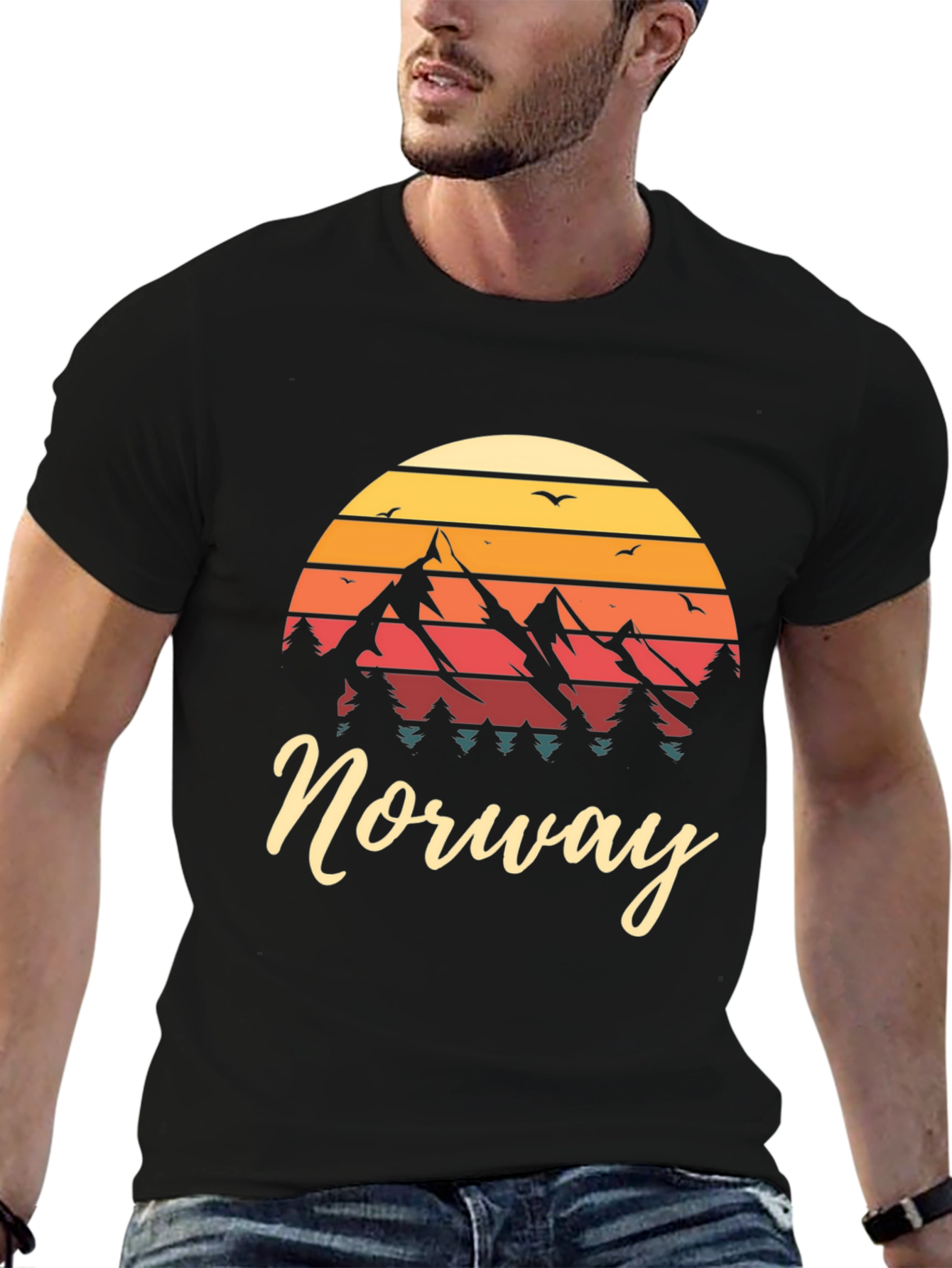 Black Norway Mountain Sunset Graphic Tee view 6