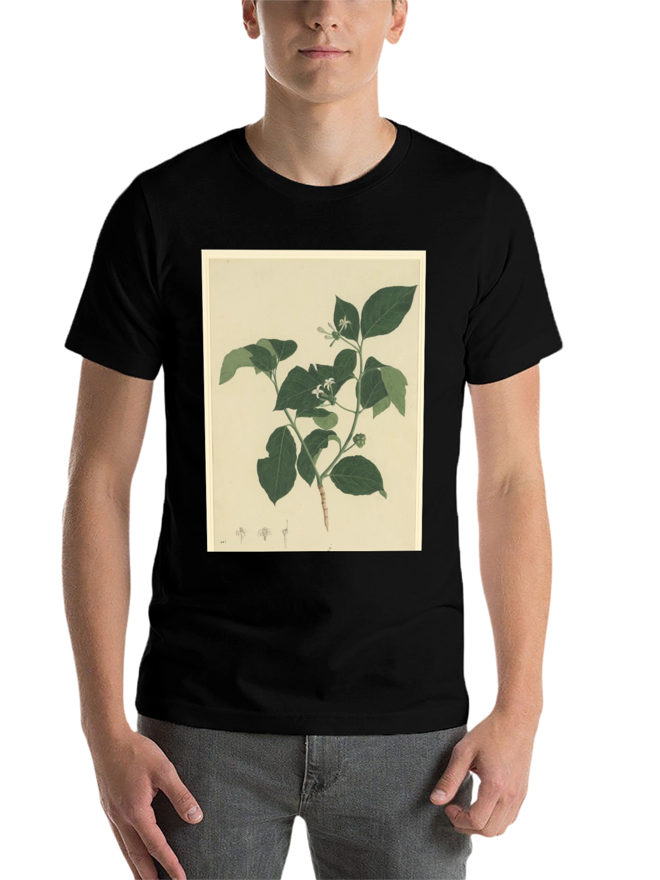 Black Botanical Print Black T-Shirt view 7