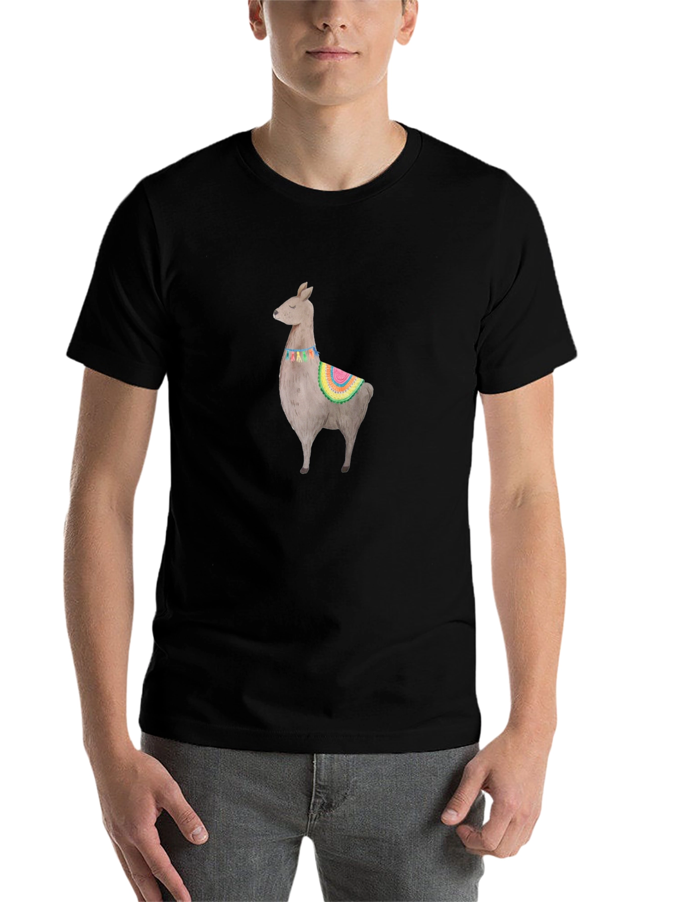 Black Llama Graphic Black T-Shirt view 7