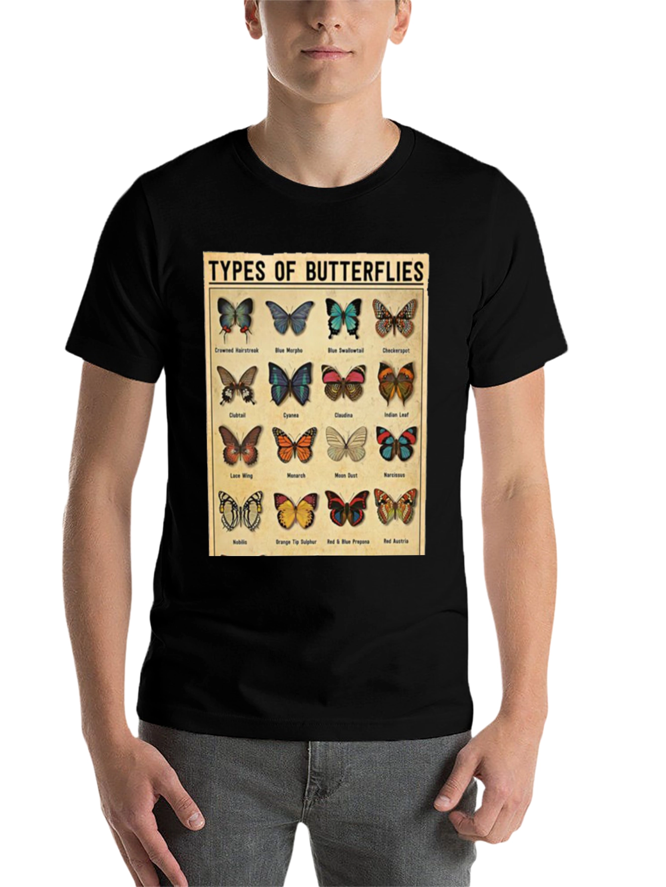 Black Butterfly Types Graphic T-Shirt view 7