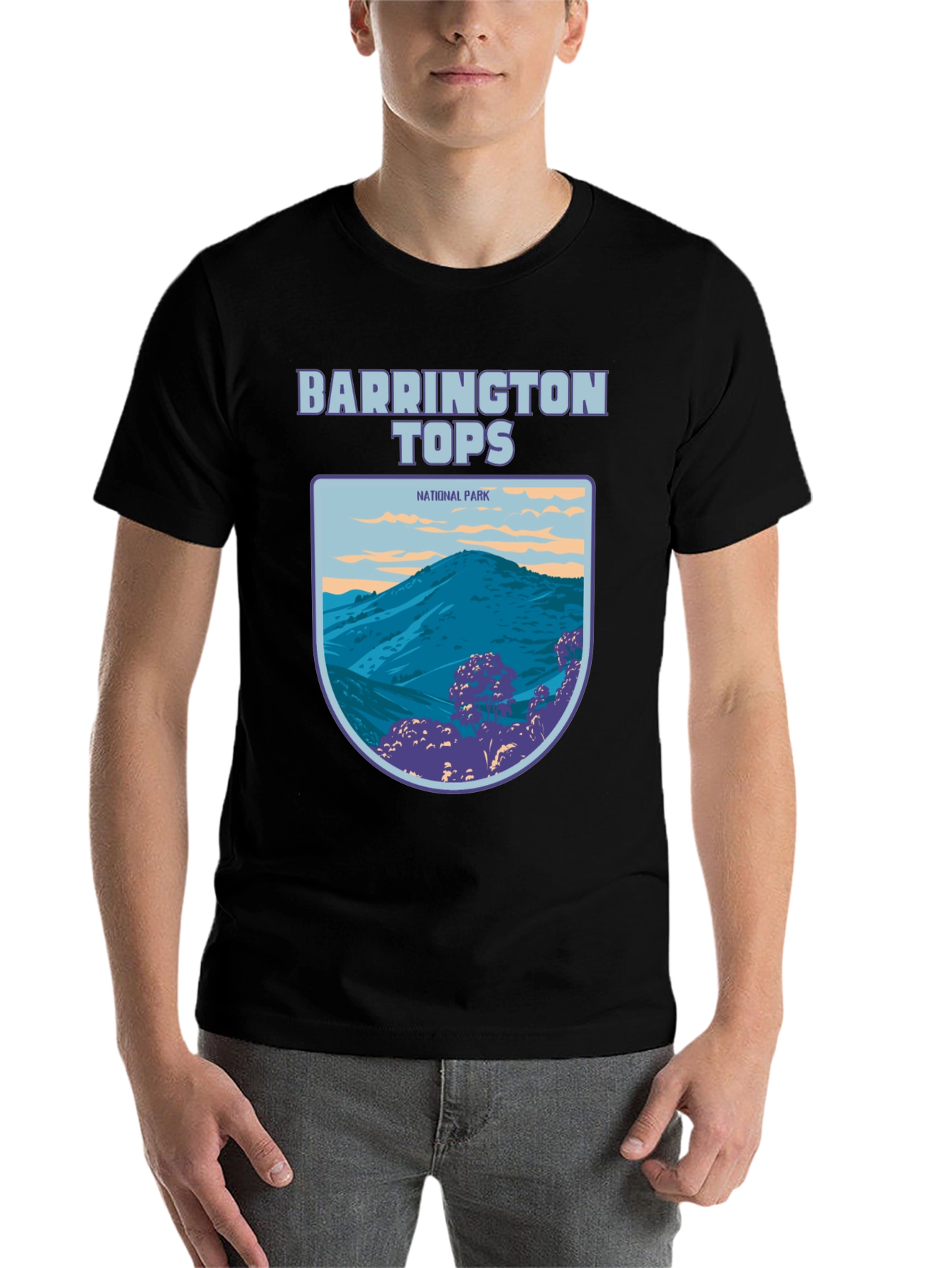 Black Barrington Tops National Park Graphic Tee view 7