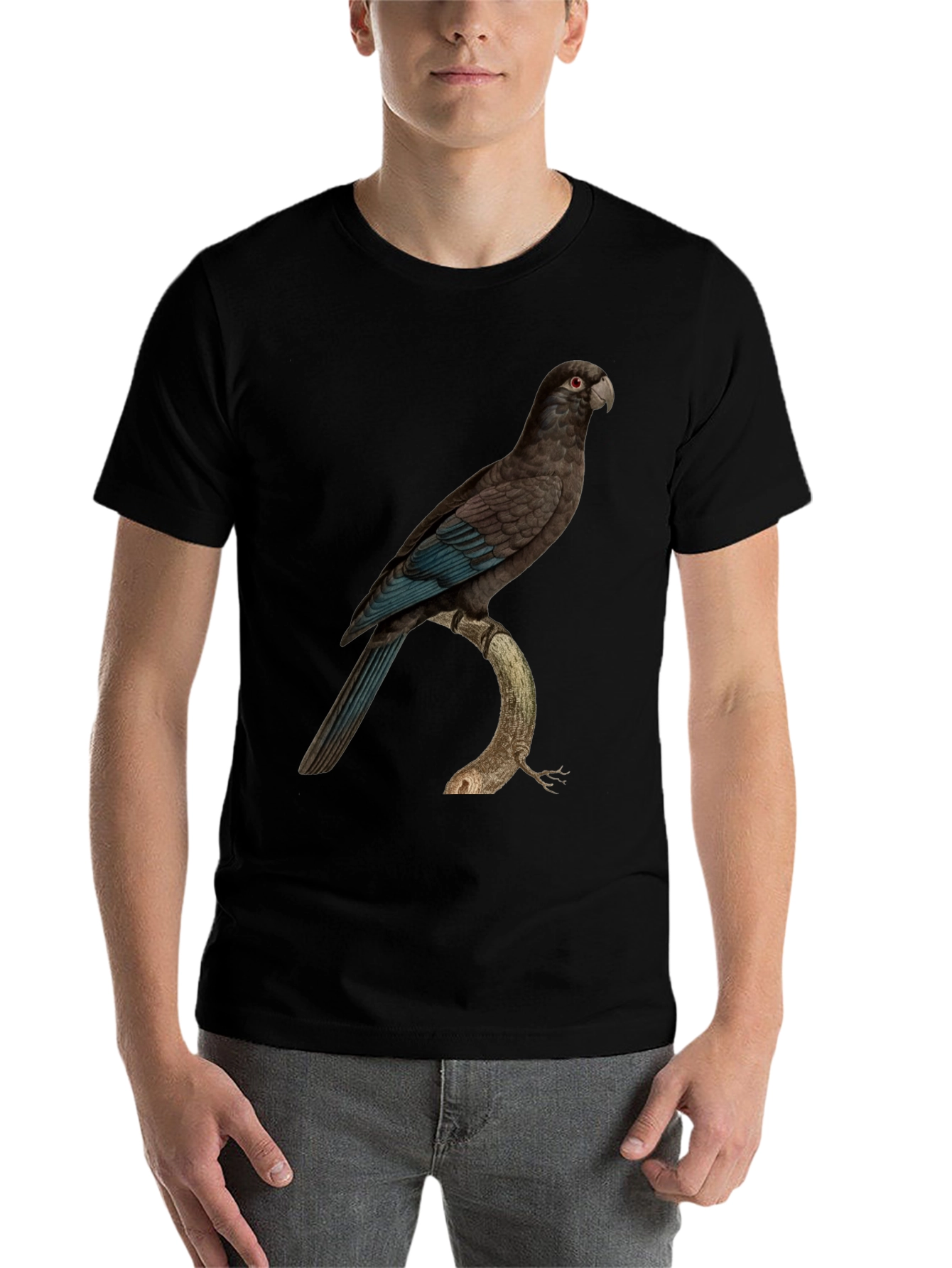 Black Parrot Graphic Print Black T-Shirt view 7