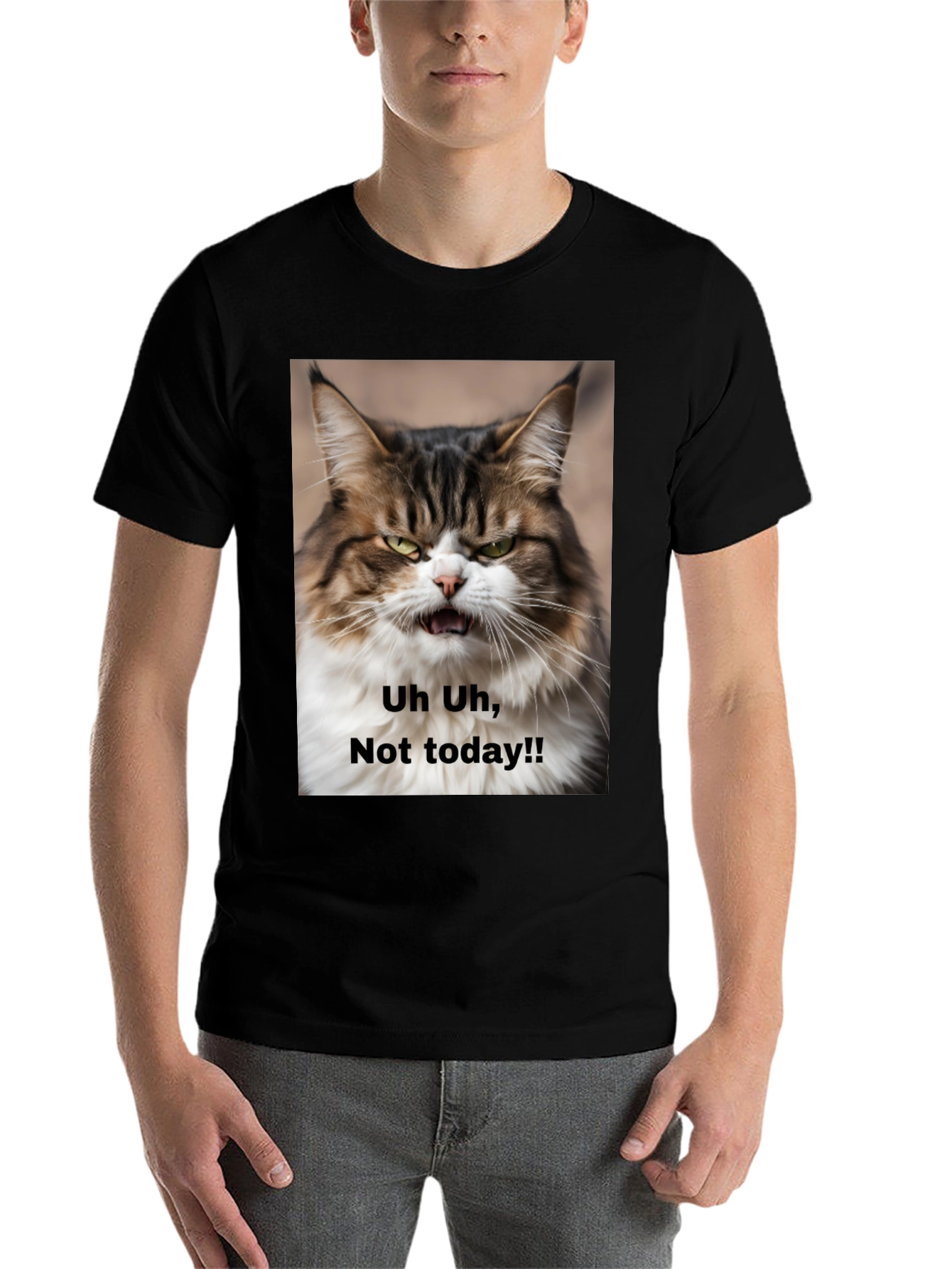 Black Grumpy Cat T-Shirt - "Not Today!" Unisex Black Tee view 7
