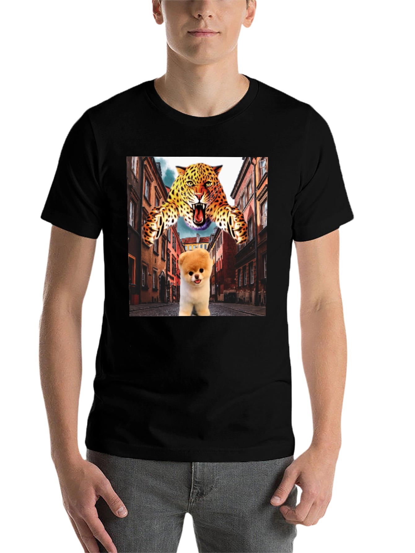 Black Novelty Graphic T-Shirt: Leopard and Pomeranian Design view 7