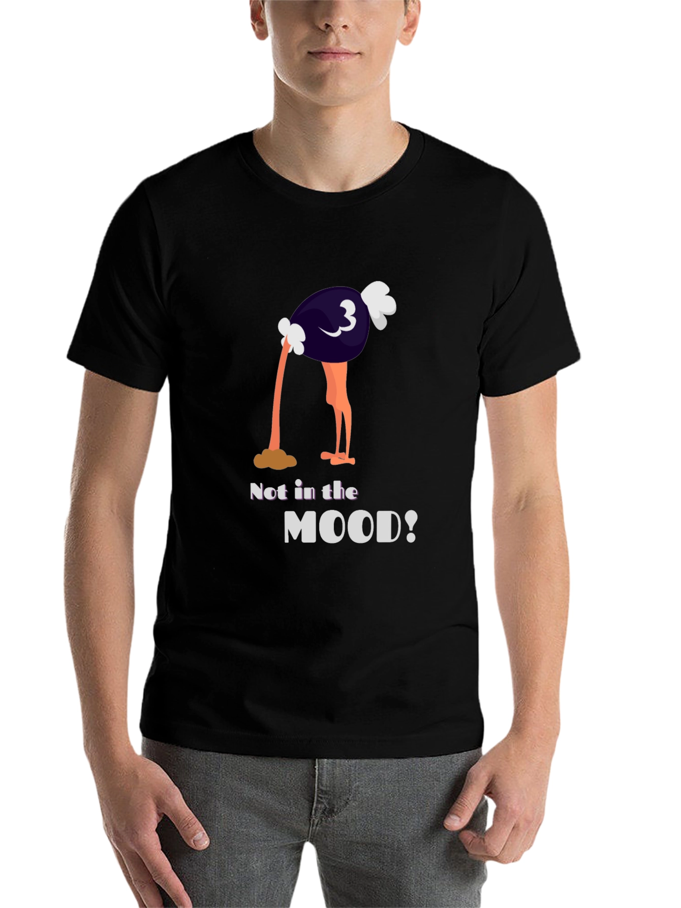 Black Not in the Mood Ostrich Graphic Tee view 7