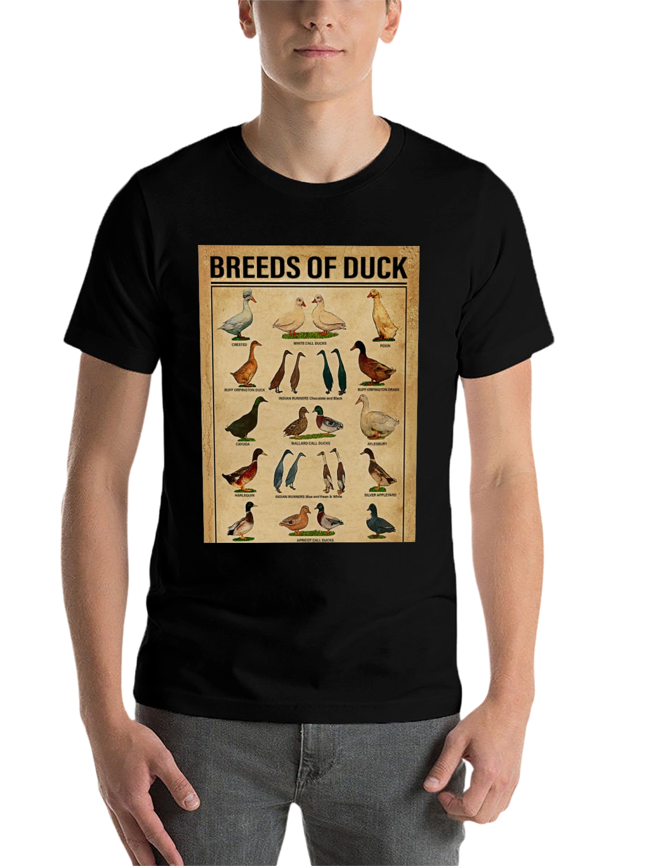 Black Breeds of Duck T-Shirt - Bird Lover Gift view 7