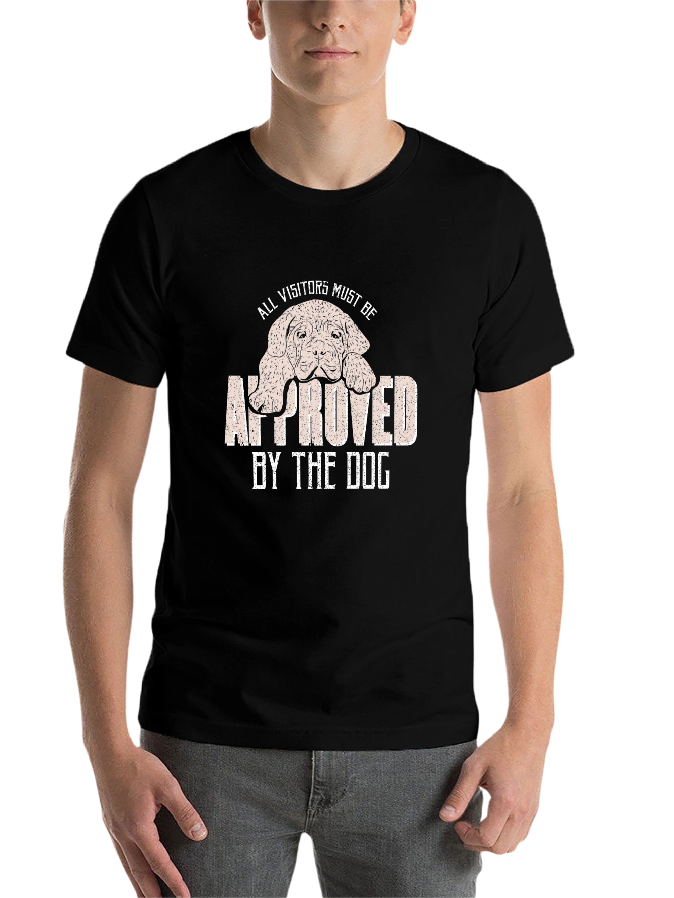 Black Dog Approved Visitors Graphic Tee view 7