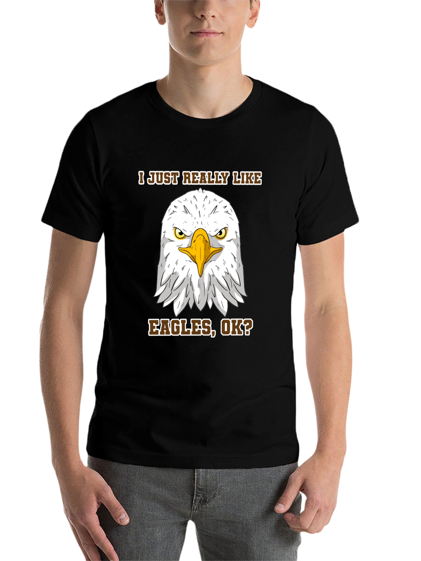 Black Eagle Lover T-Shirt - I Just Really Like Eagles, Ok? view 7