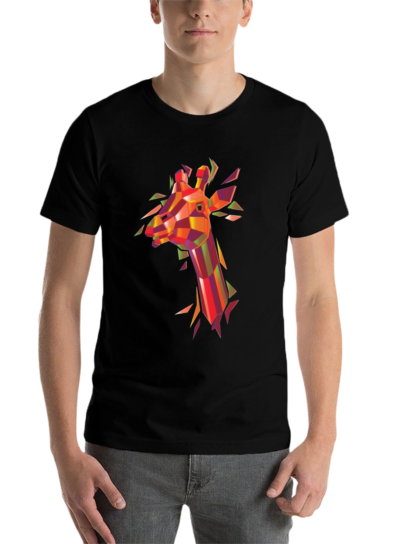 Black Geometric Giraffe Graphic Tee - Modern Art Shirt view 7
