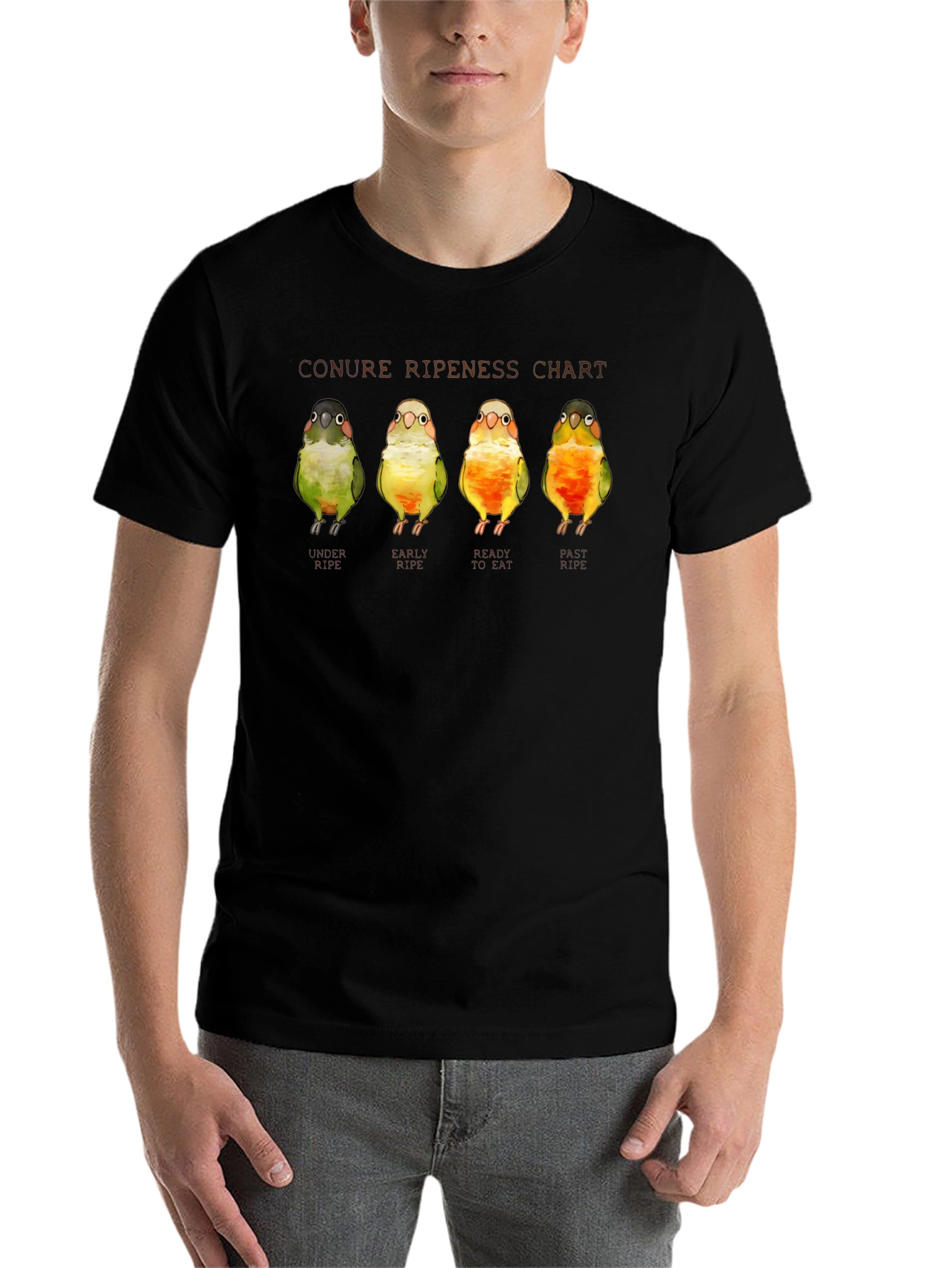Black Conure Ripeness Chart Graphic T-Shirt view 7