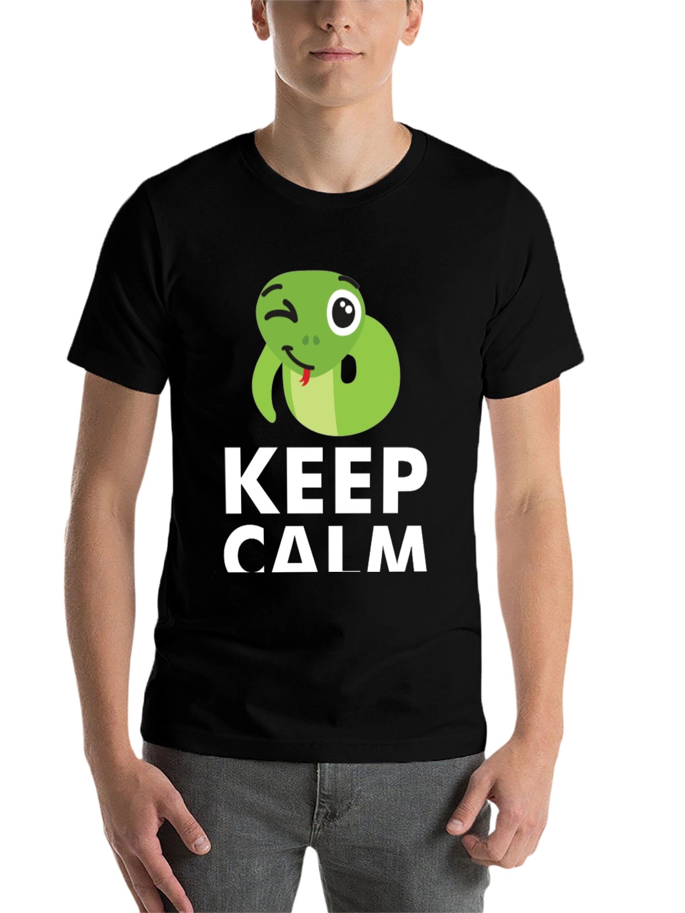 Black Keep Calm Snake Tee - Funny Graphic T-Shirt view 7