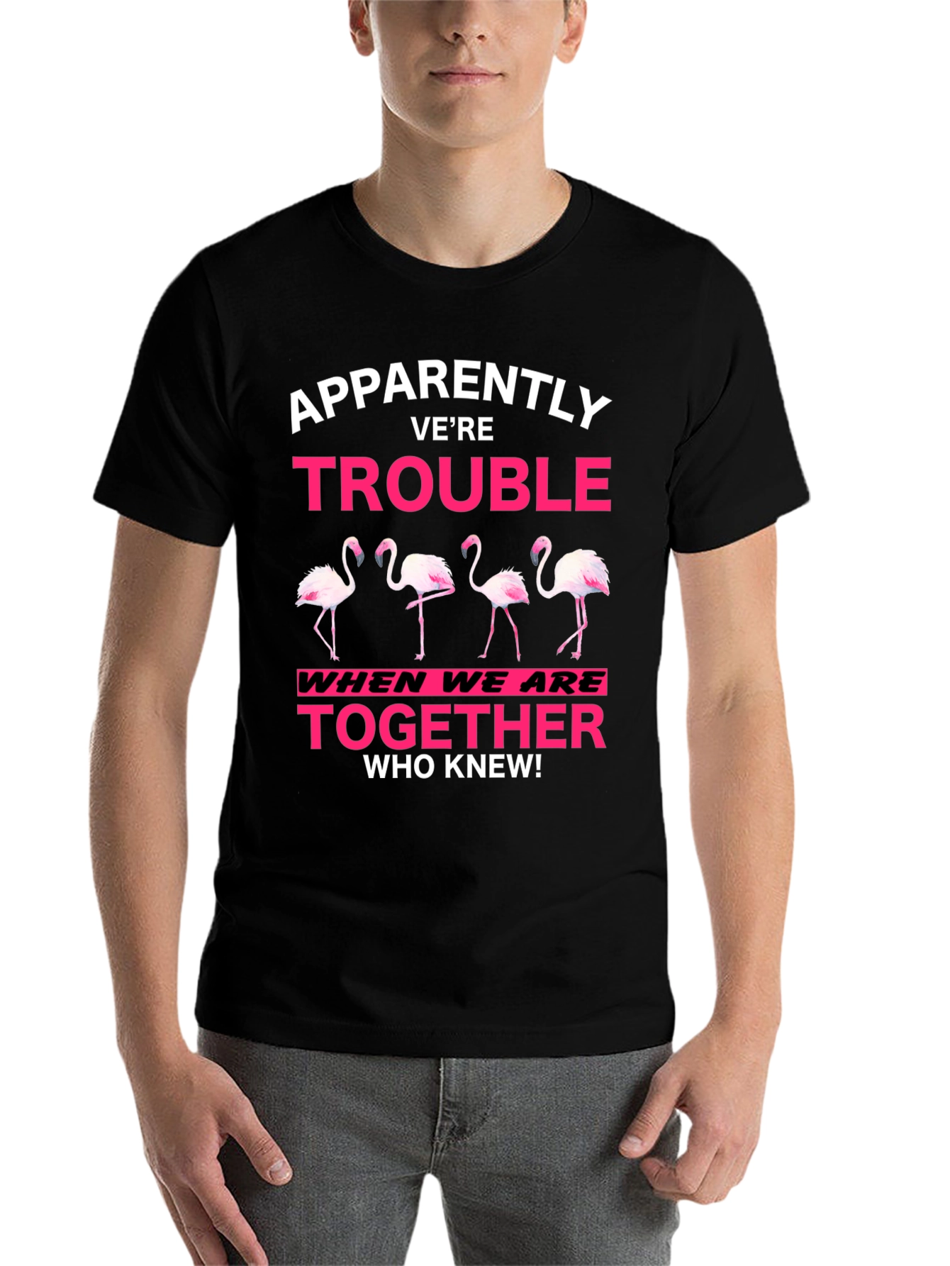 Black Funny Flamingo Trouble Graphic T-Shirt view 7