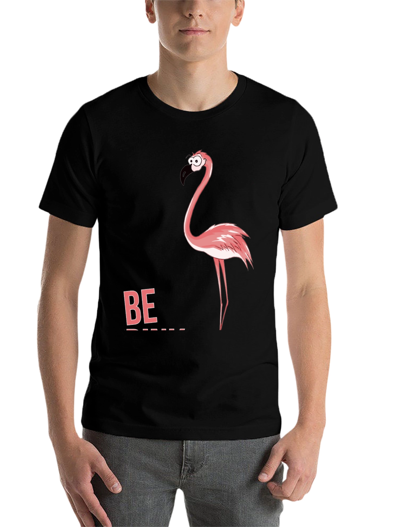 Black Funny Flamingo Graphic Tee - "Be" Shirt view 7