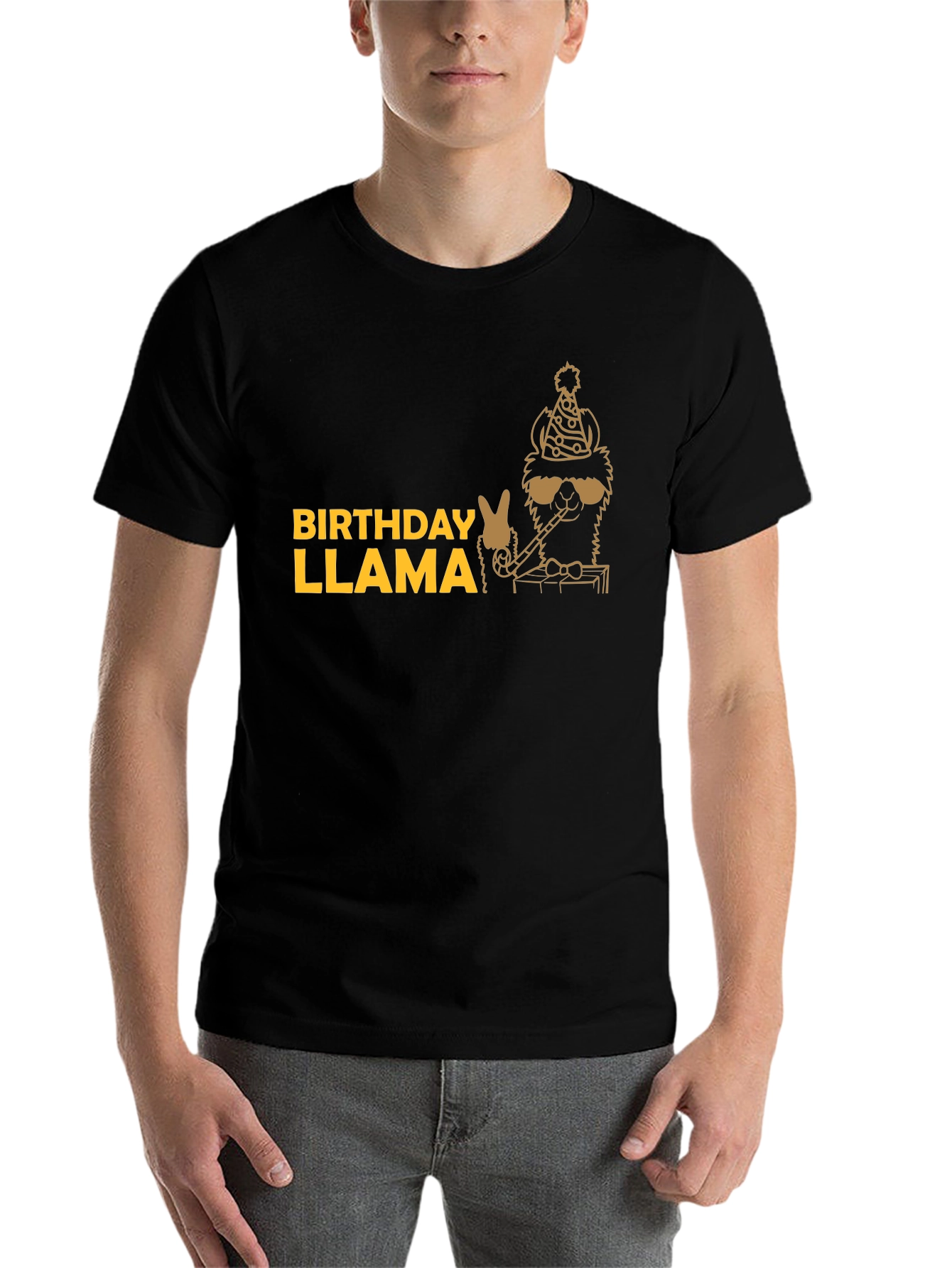 Black Birthday Llama T-Shirt - Party Animal Tee view 7