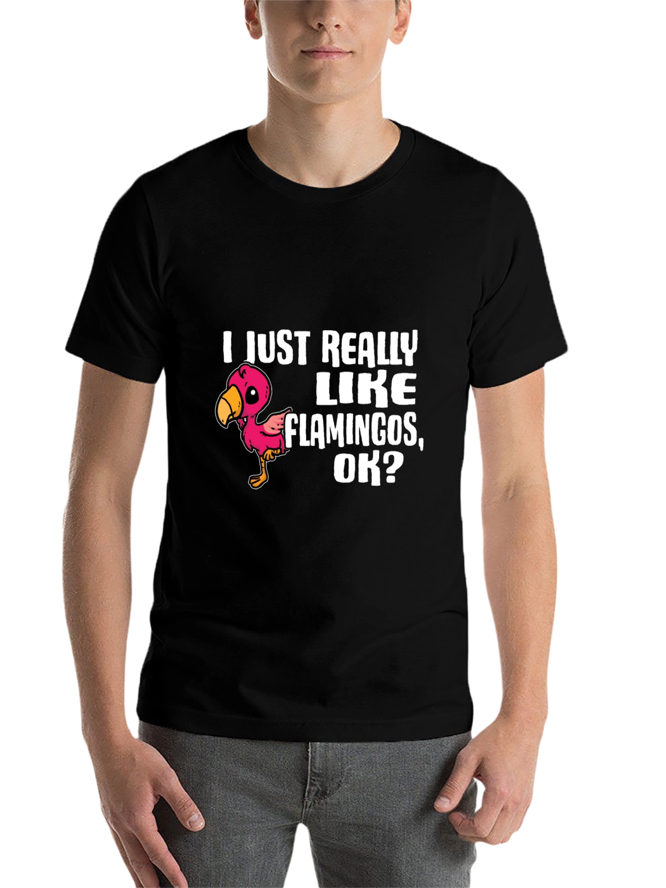 Black Flamingo Lover T-Shirt - I Just Really Like Flamingos, OK? view 7