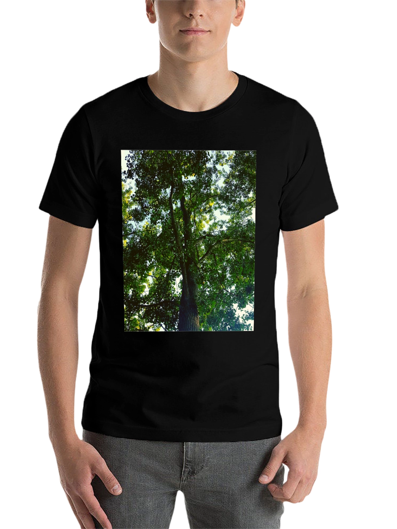 Black Nature Tree Graphic Tee - Black Cotton T-Shirt view 7