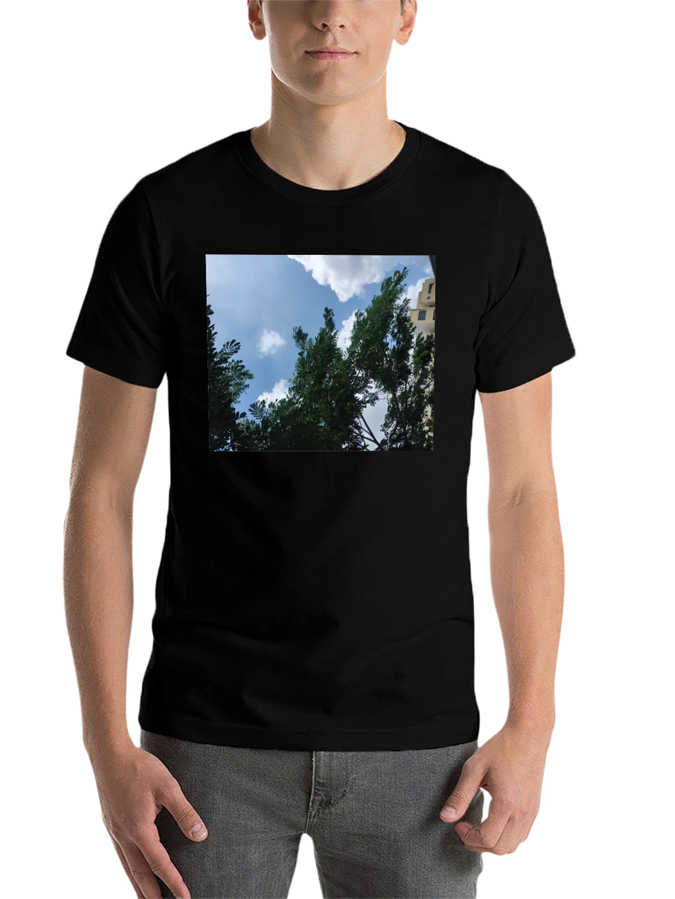 Black Sky Through Trees Graphic Tee - Nature Lover's Shirt view 7