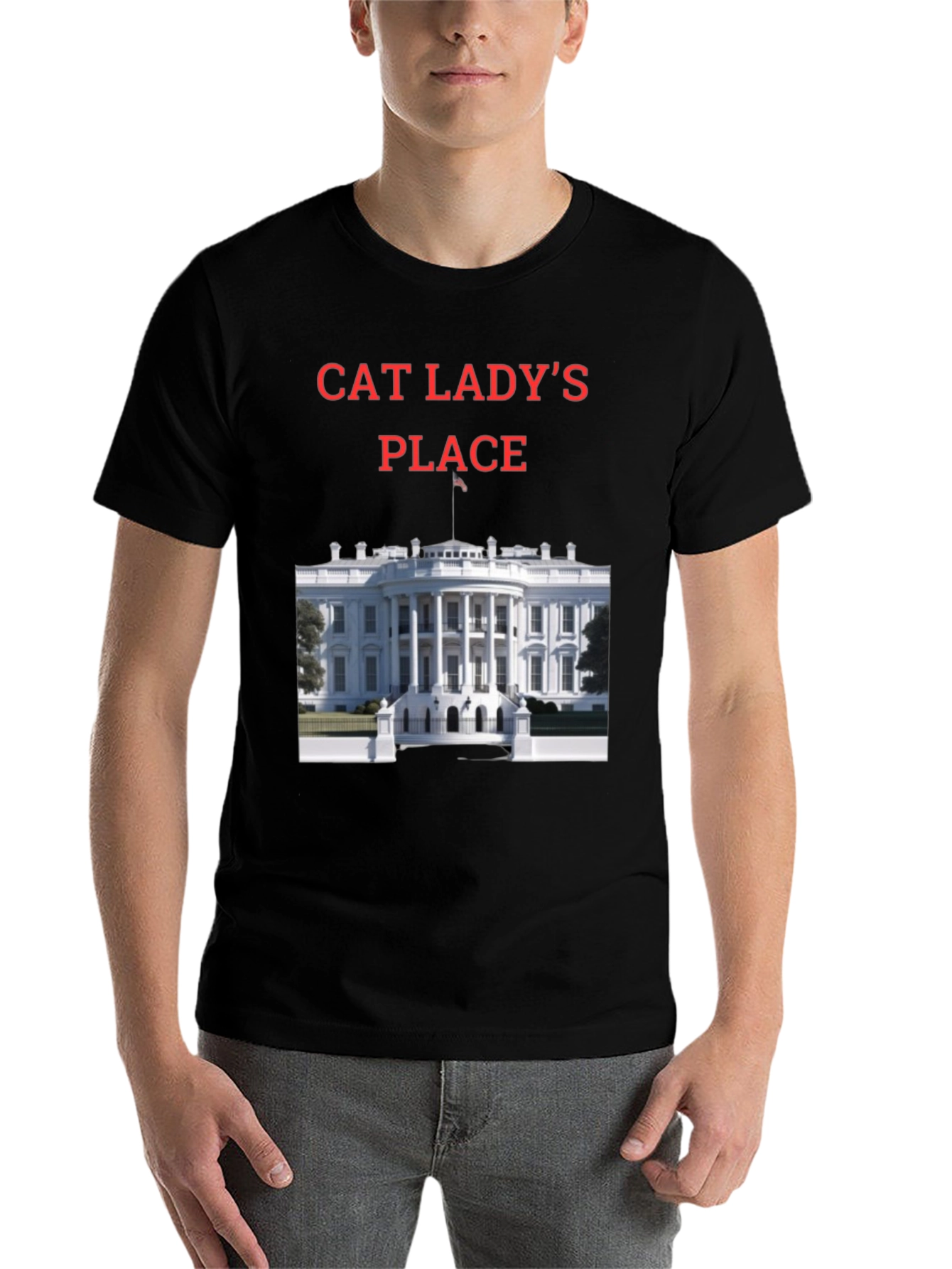 Black Cat Lady's Place T-Shirt - Novelty Tee view 7