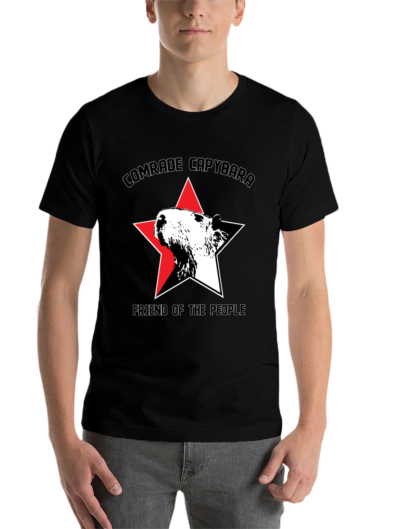 Black Comrade Capybara T-Shirt - Friend of the People view 7