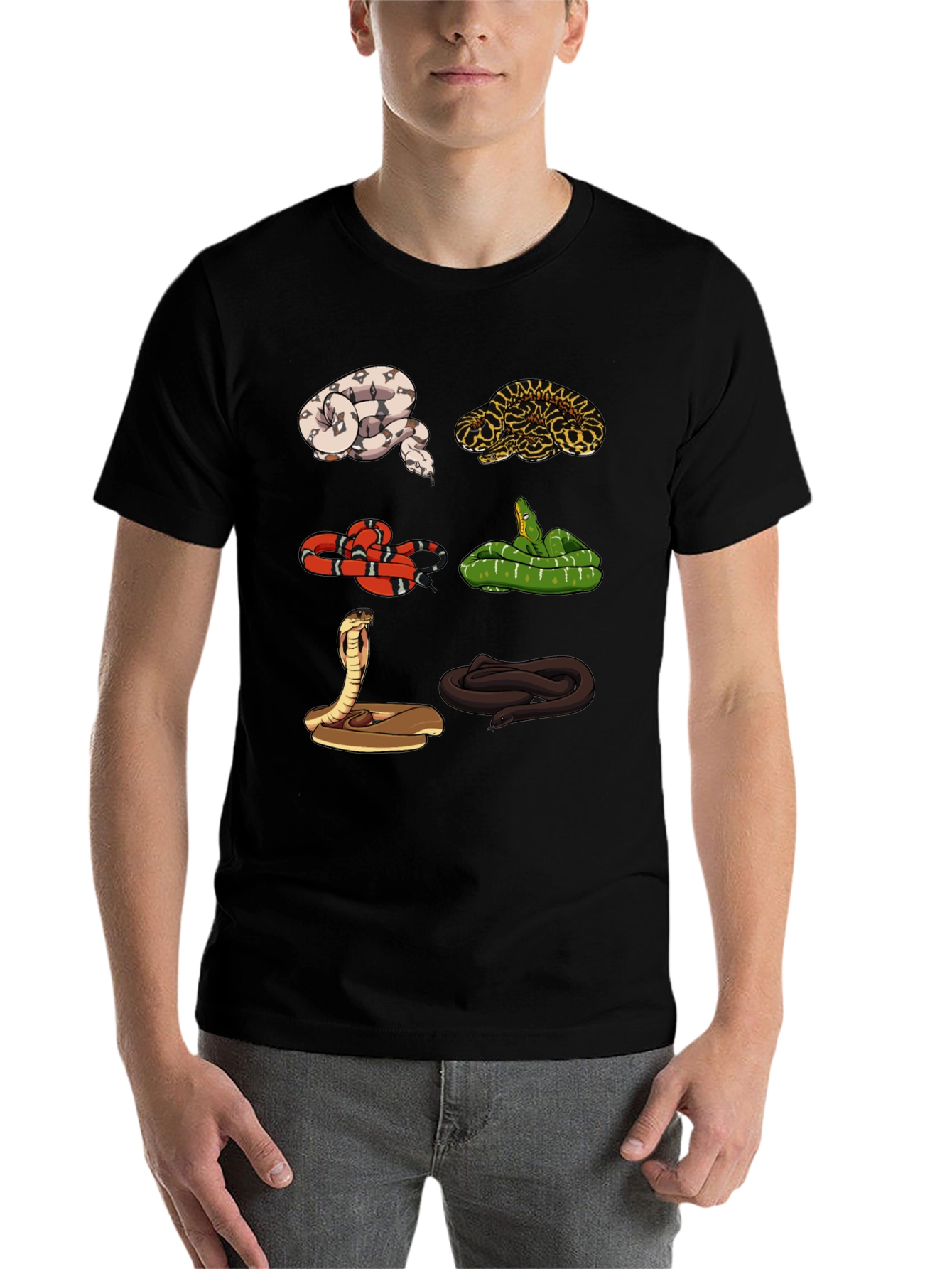 Black Snake Variety Graphic Tee - Reptile Lover Shirt view 7
