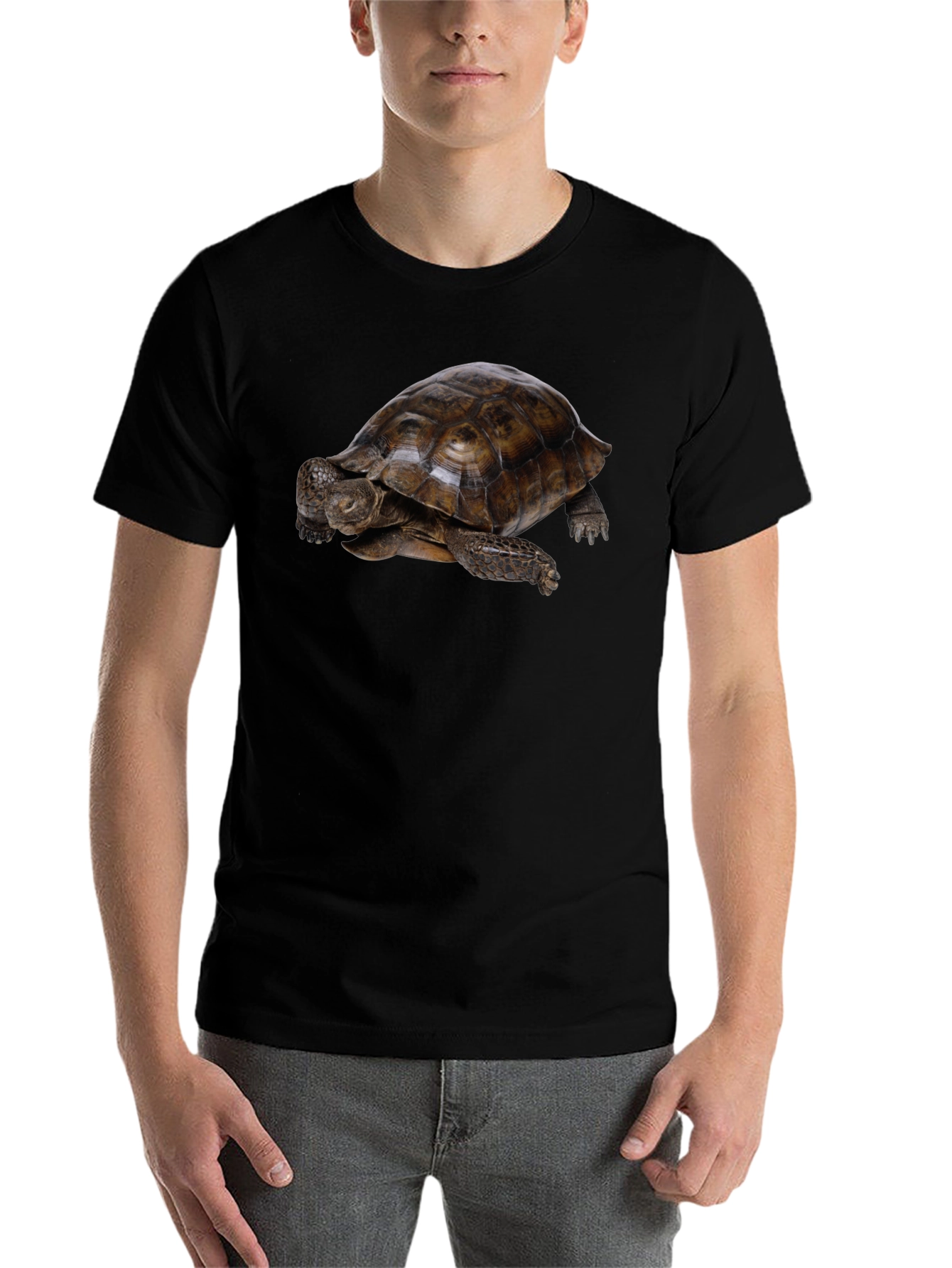 Black Tortoise Graphic Black T-Shirt view 7