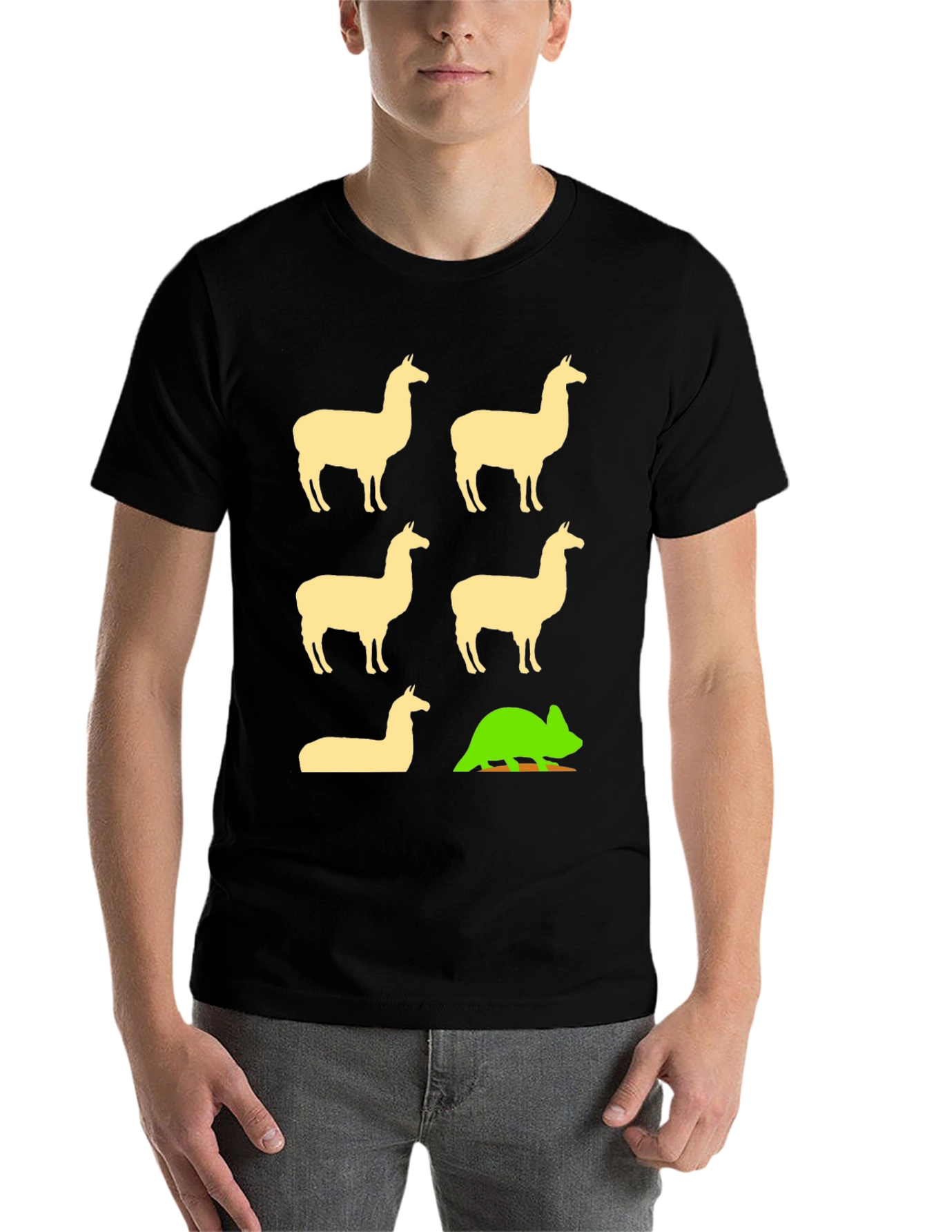 Black Llama & Chameleon Graphic Tee - Black Cotton T-Shirt view 7