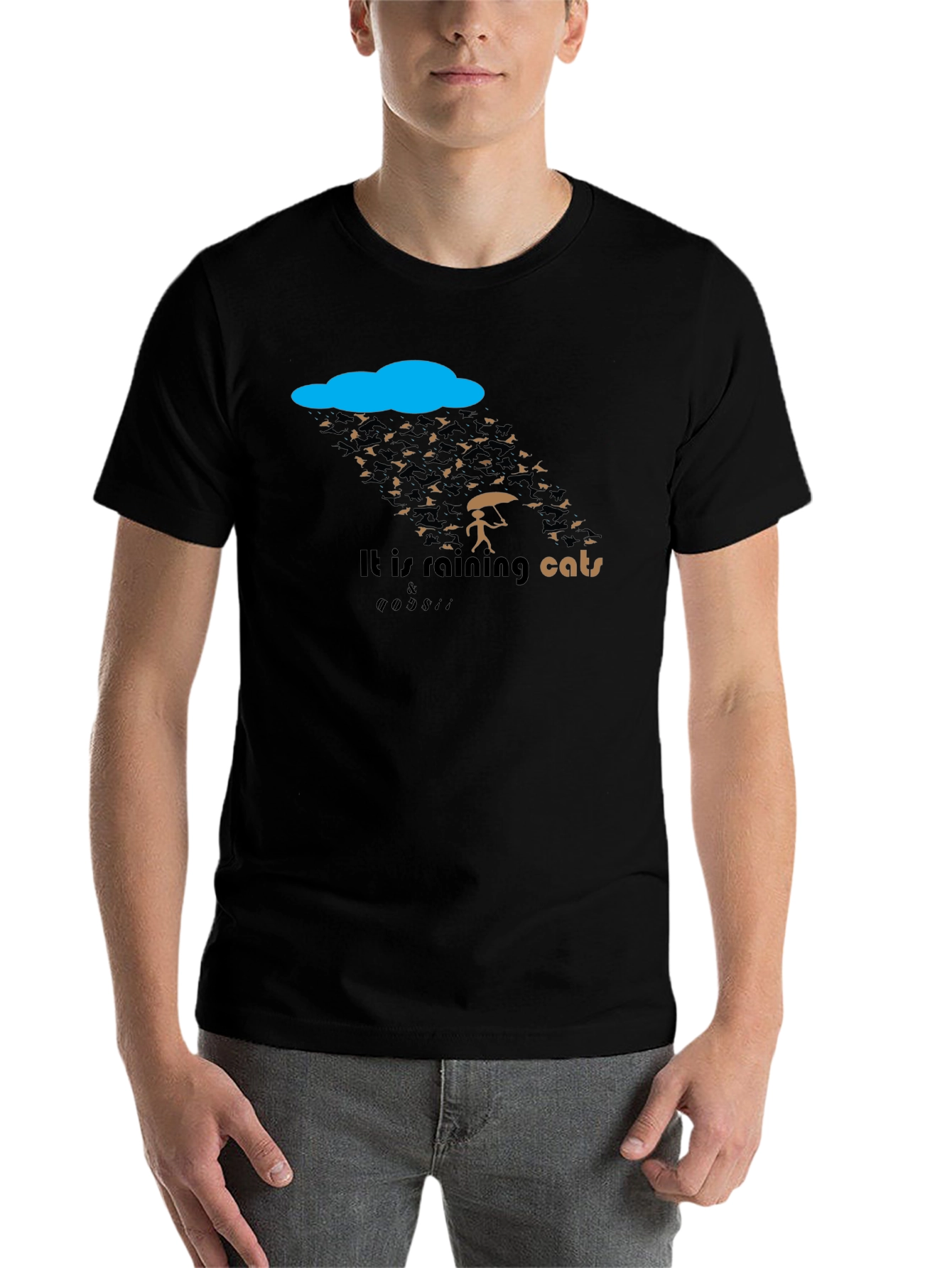 Black Funny "It's Raining Cats & Dogs" Graphic T-Shirt view 7