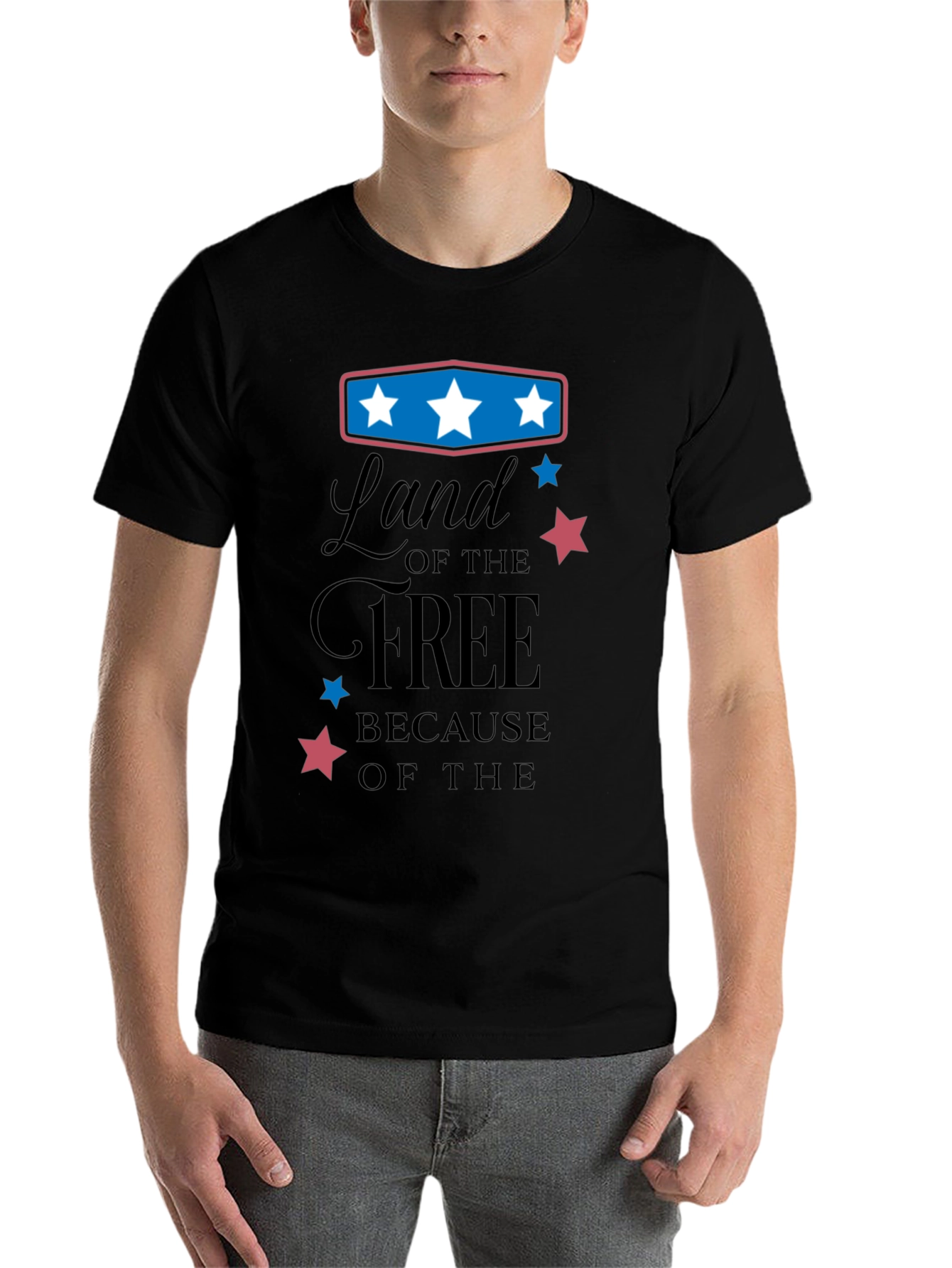 Black Land of the Free Graphic Tee view 7