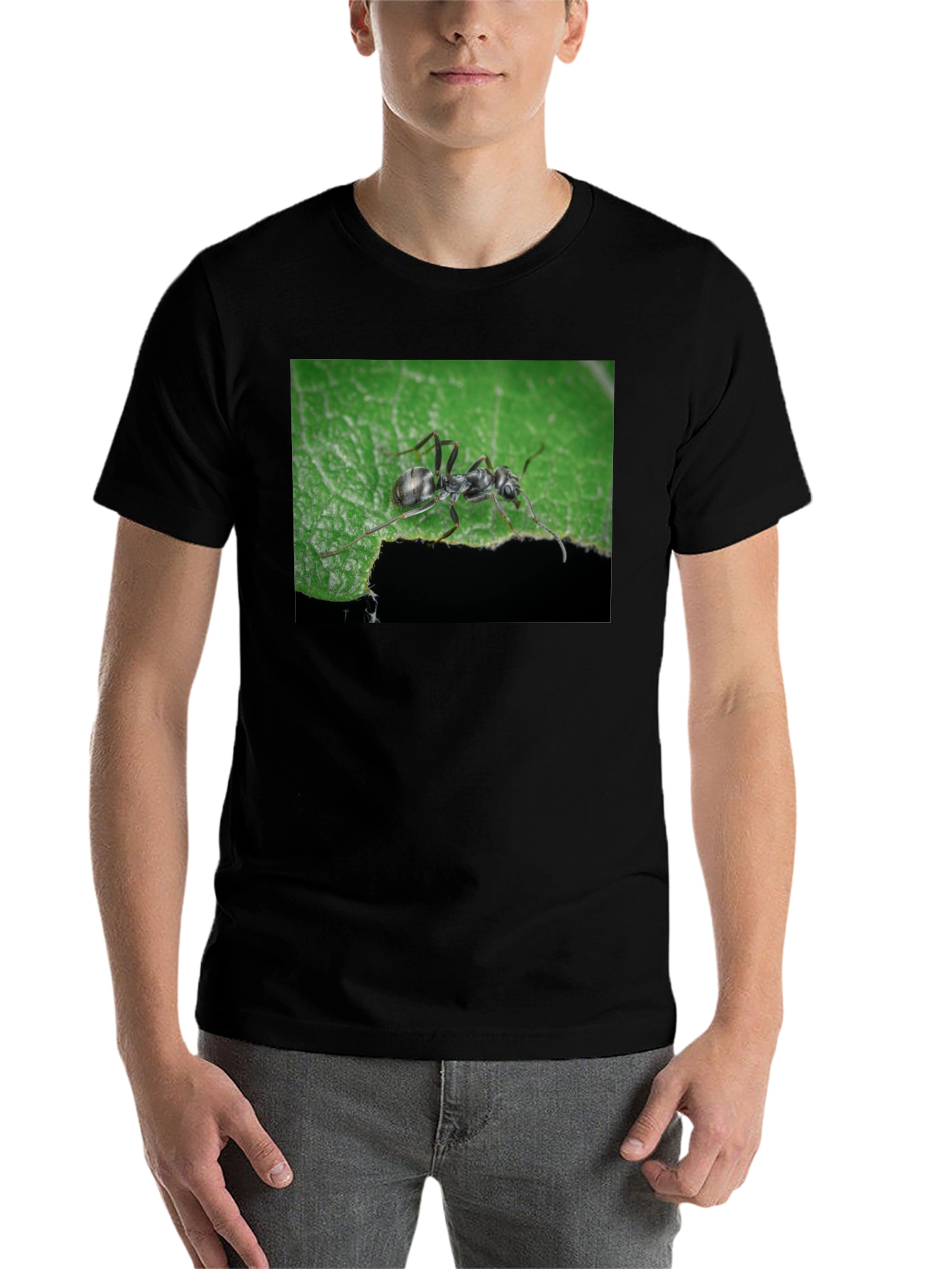 Black Ant on Leaf Graphic Tee - Nature Lover's T-Shirt view 7