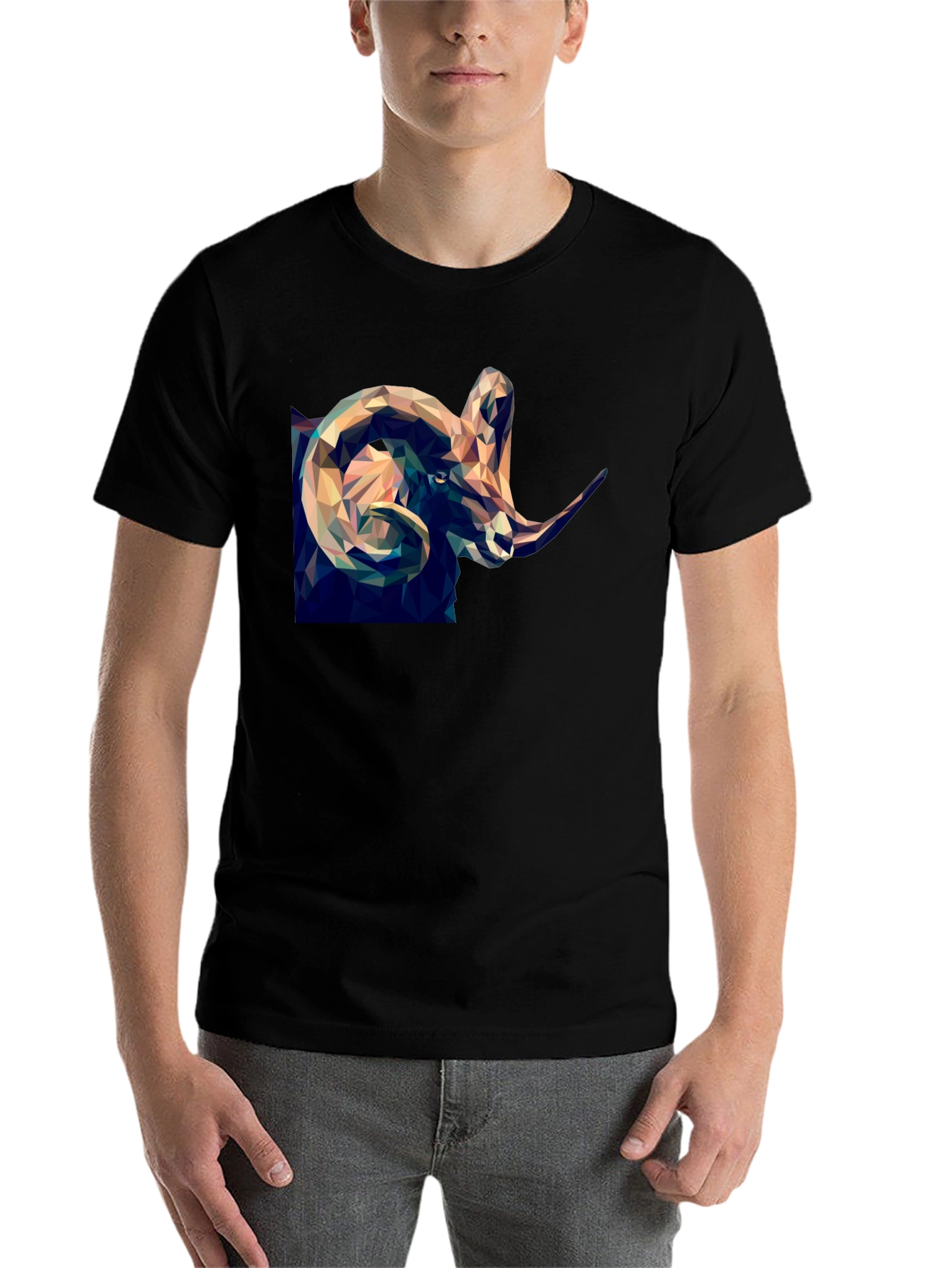 Black Geometric Ram Graphic Print Black T-Shirt view 7