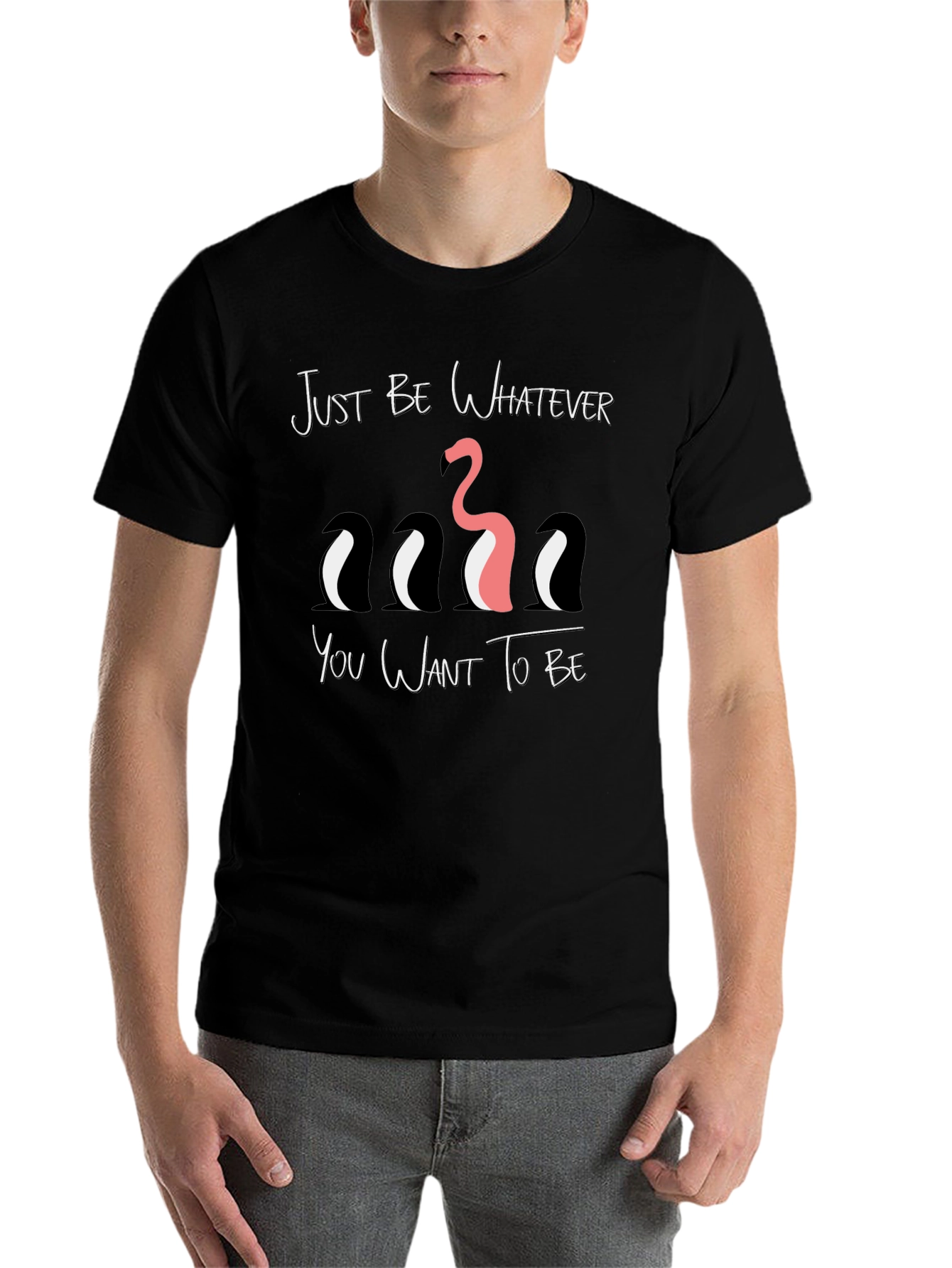 Black Be Yourself Graphic Tee - Funny Flamingo & Penguins view 7