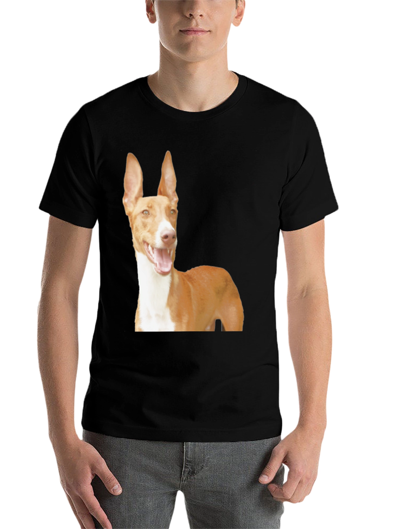 Black Dog Breed Graphic Tee - Ibizan Hound on Black Shirt view 7