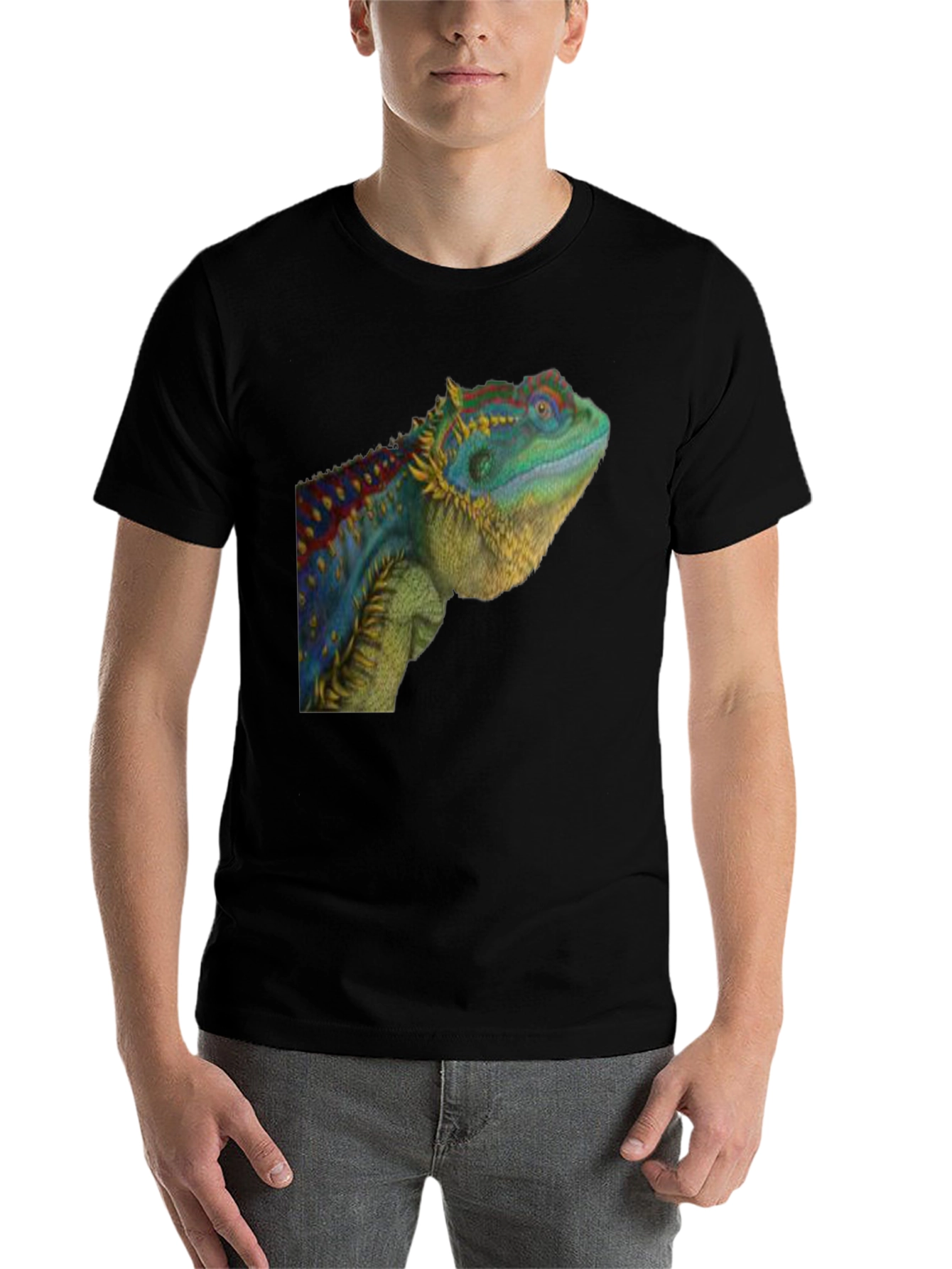 Black Lizard Graphic T-Shirt - Cool Reptile Tee view 7