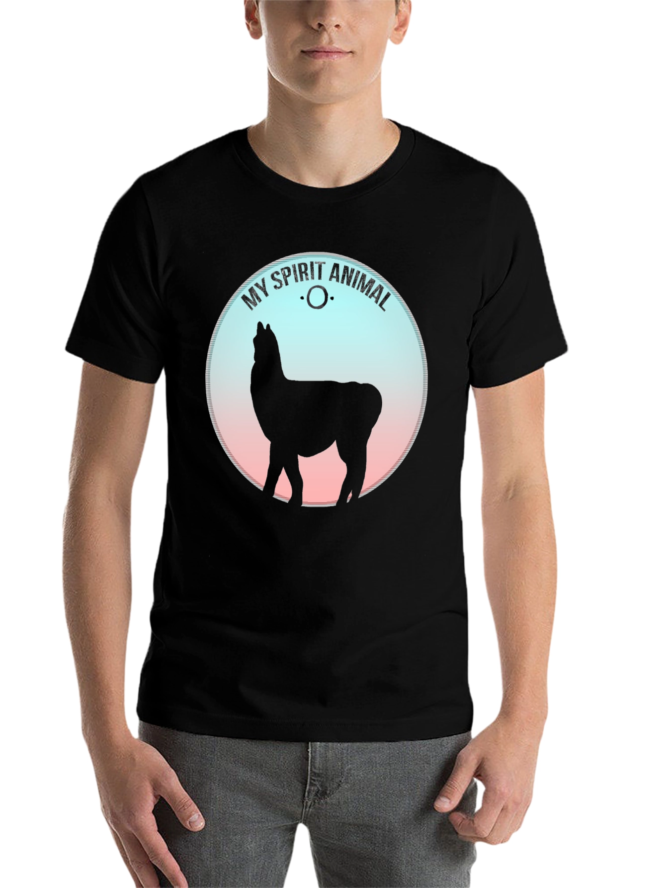 Black My Spirit Animal Llama Graphic Tee - Black view 7