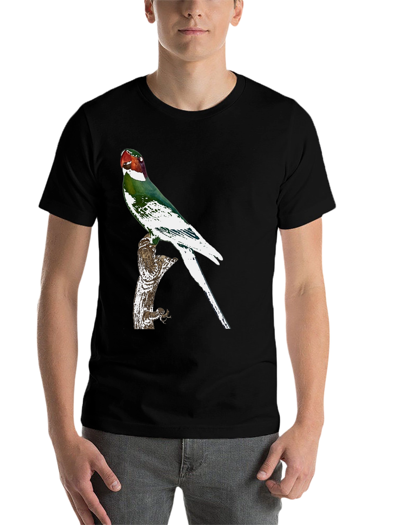 Black Parrot Graphic Tee - Black Cotton T-Shirt view 7