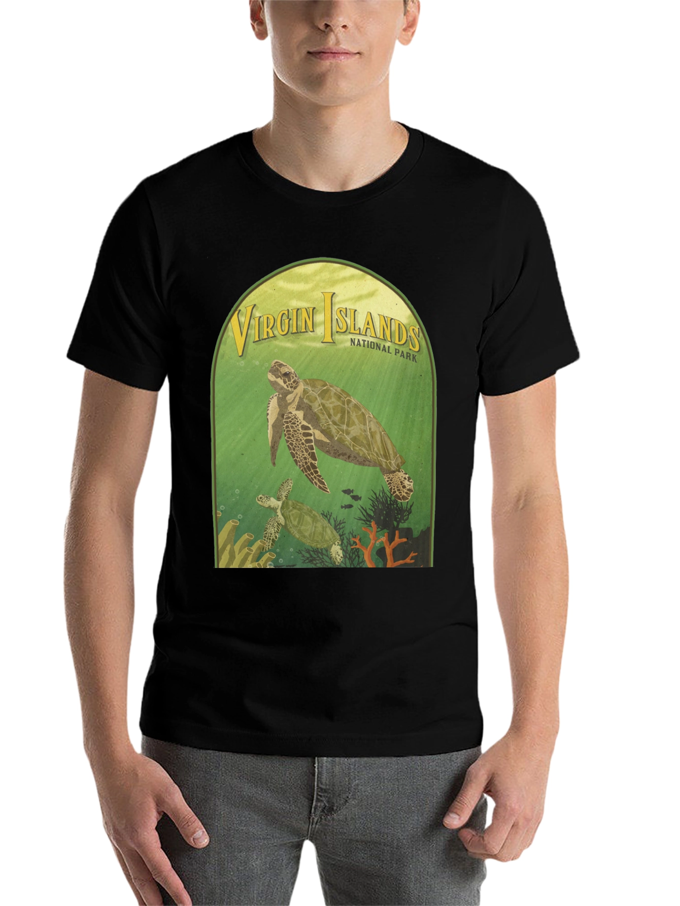 Virgin Islands National Park Turtle T-Shirt - 7