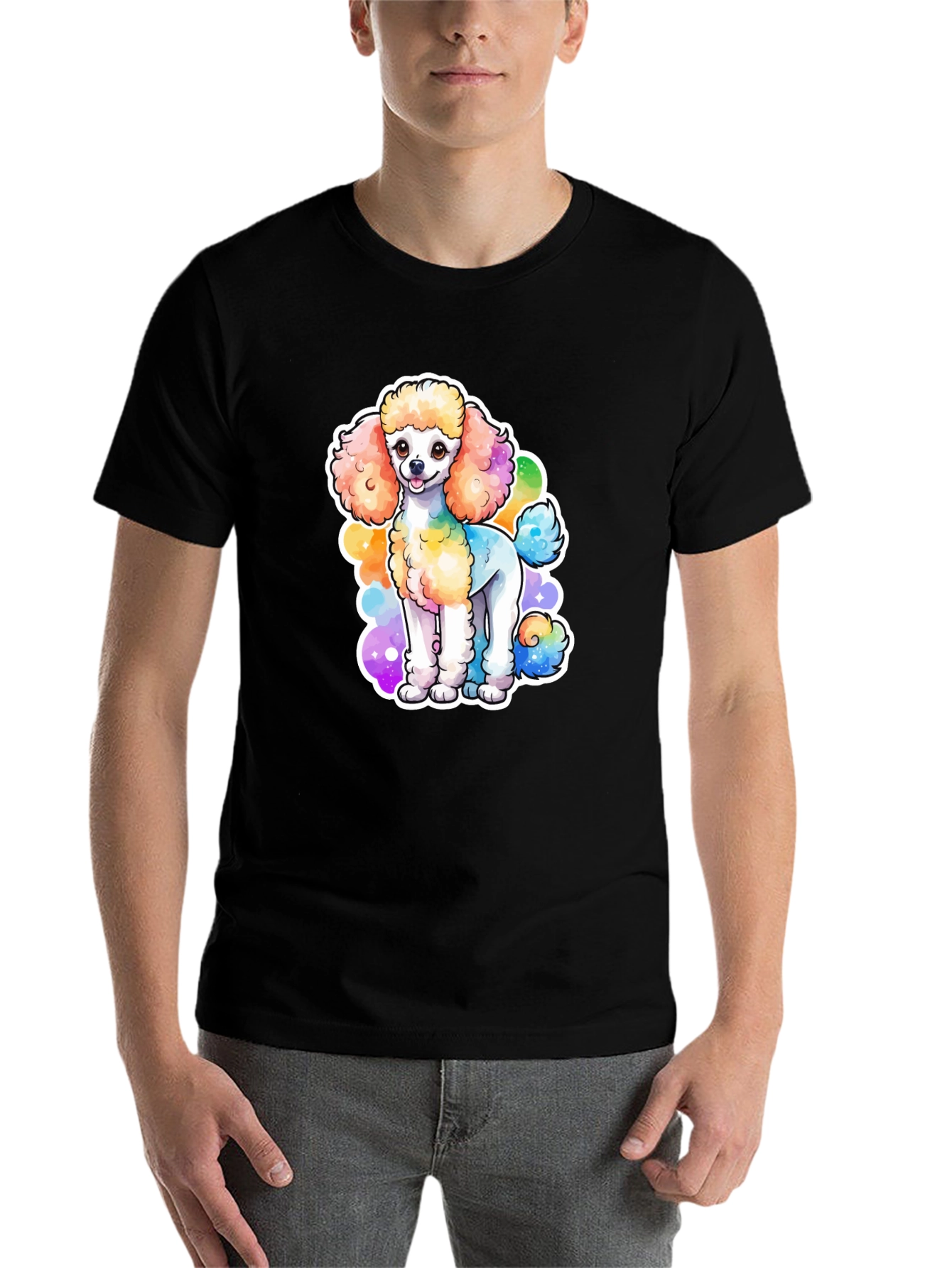 Black Rainbow Poodle Graphic Black T-Shirt view 7