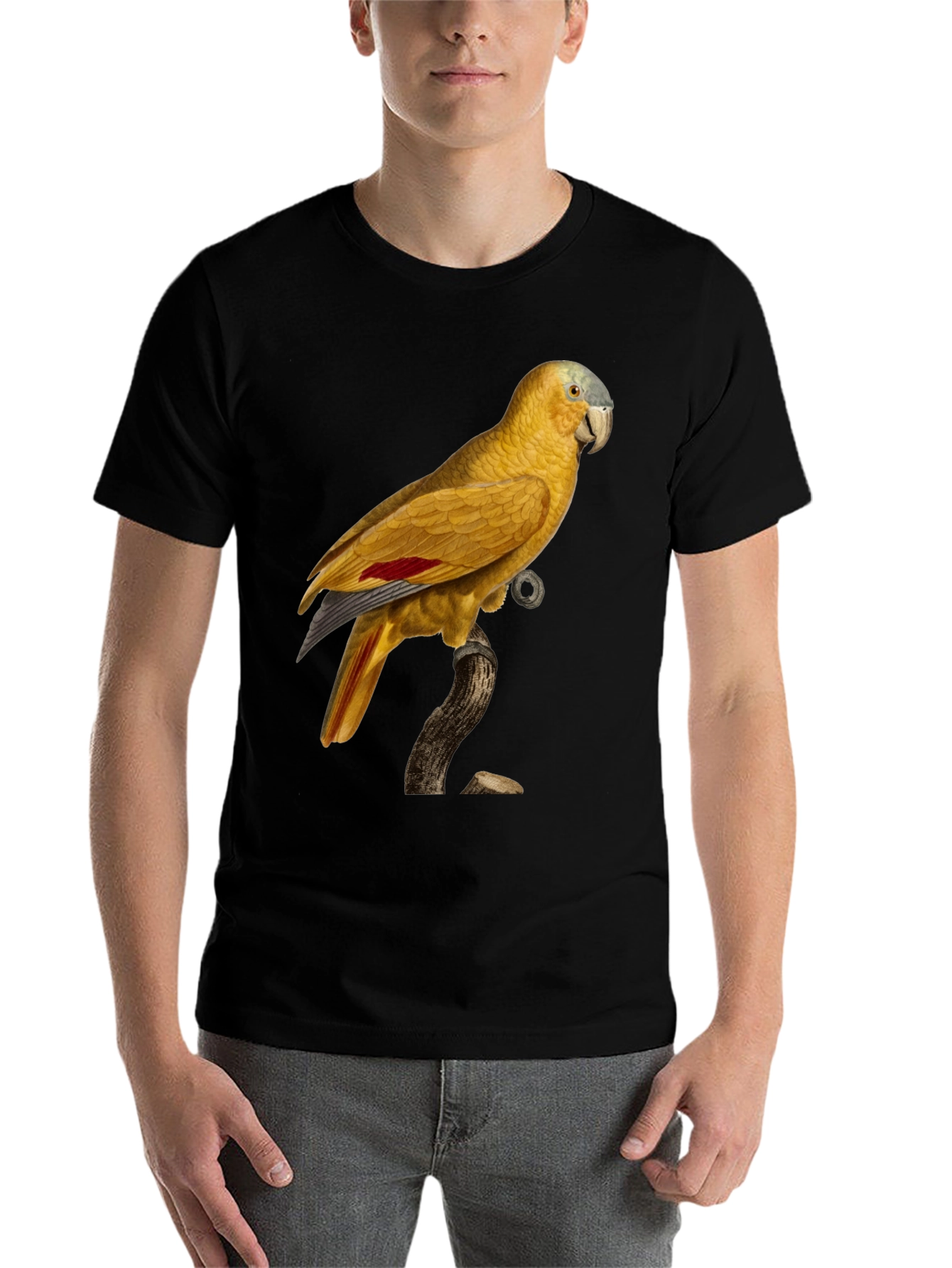 Black Parrot Graphic Black T-Shirt view 7