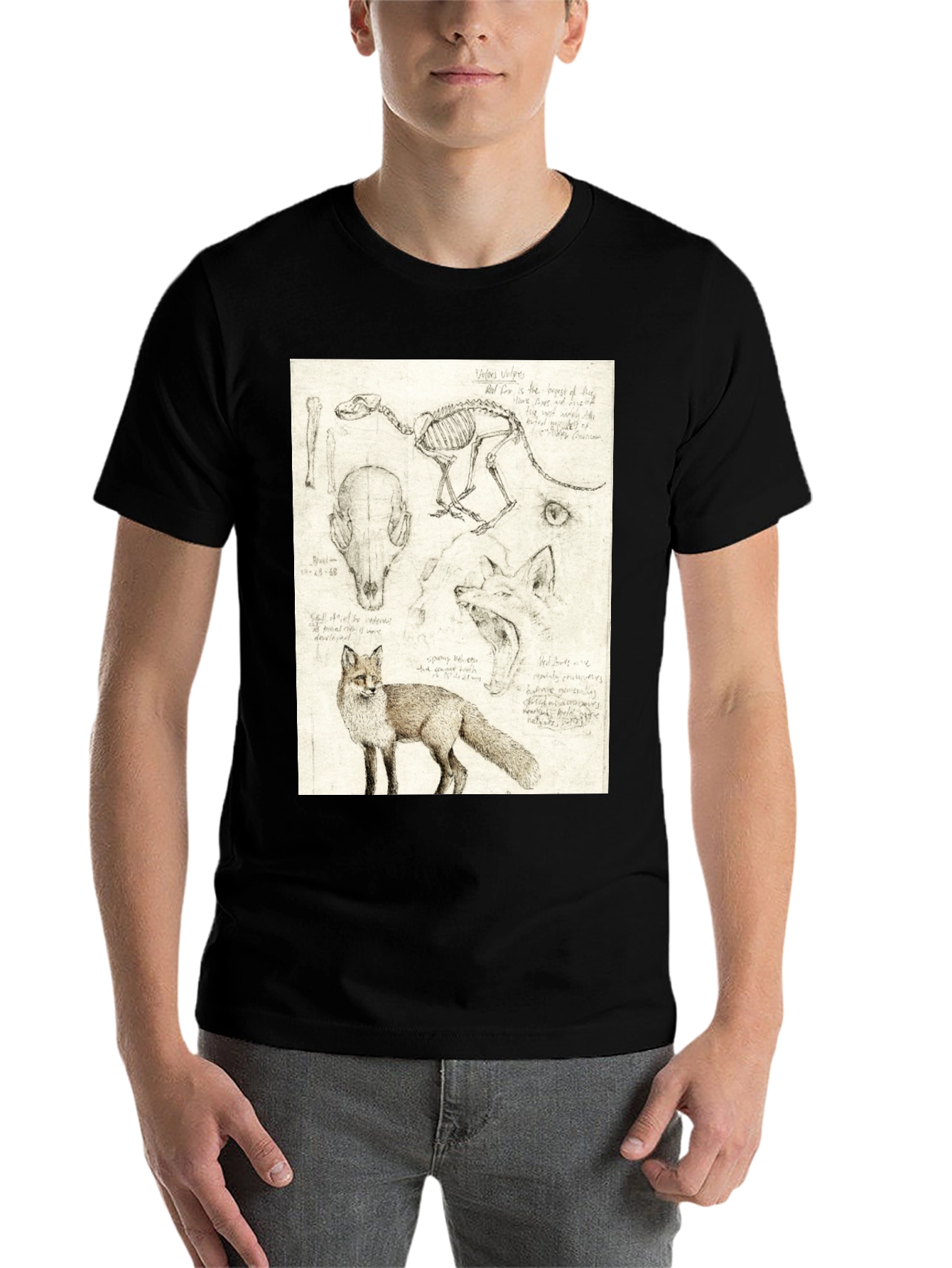 Black Anatomical Fox Print Tee - Artistic Unisex T-Shirt view 7