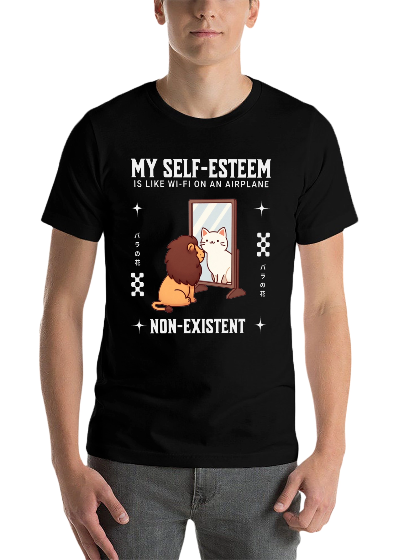 Black Self-Esteem Lion/Cat T-Shirt - Airplane Wi-Fi Funny Tee view 7