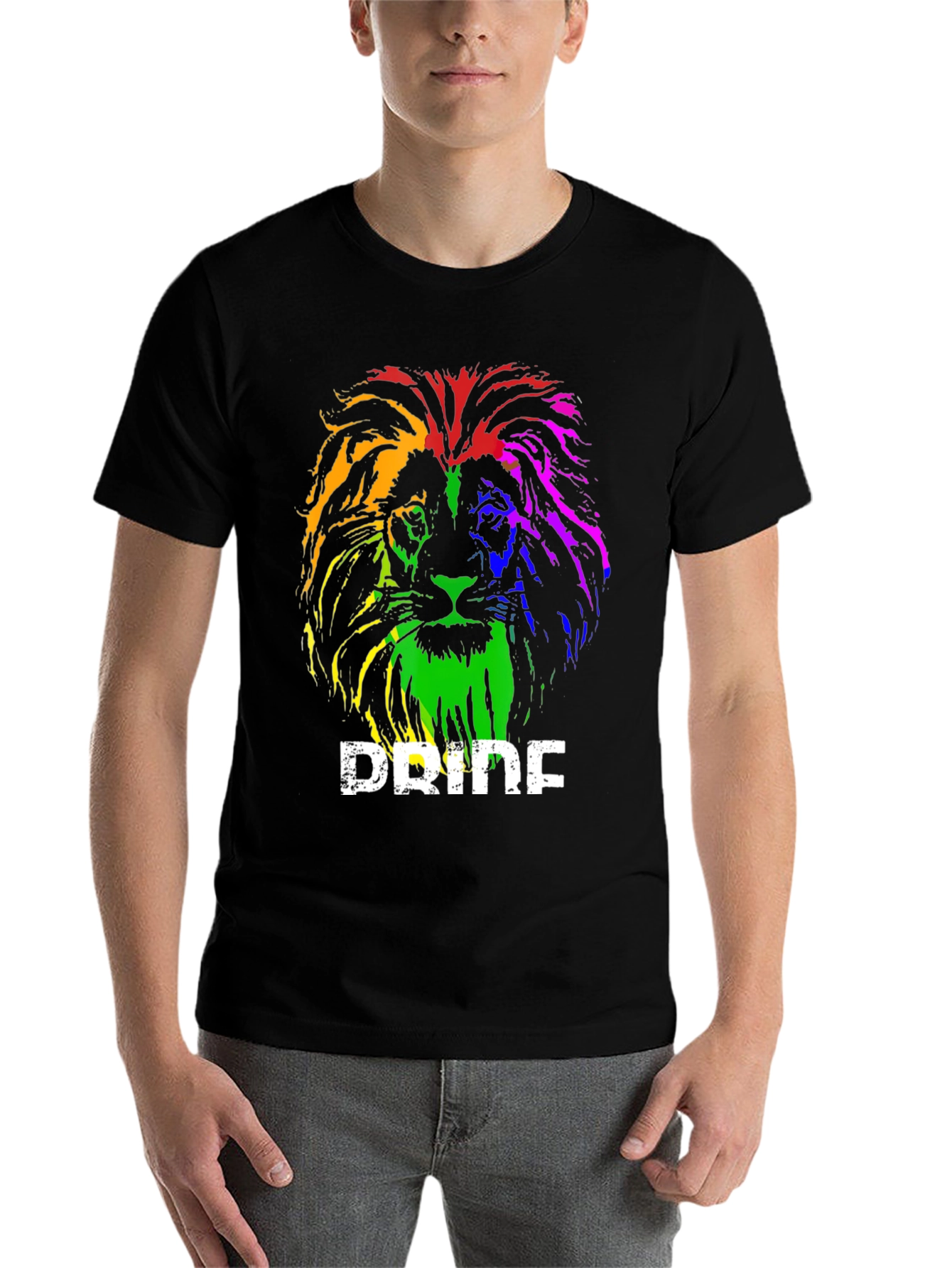 Black Rainbow Pride Lion Graphic T-Shirt view 7