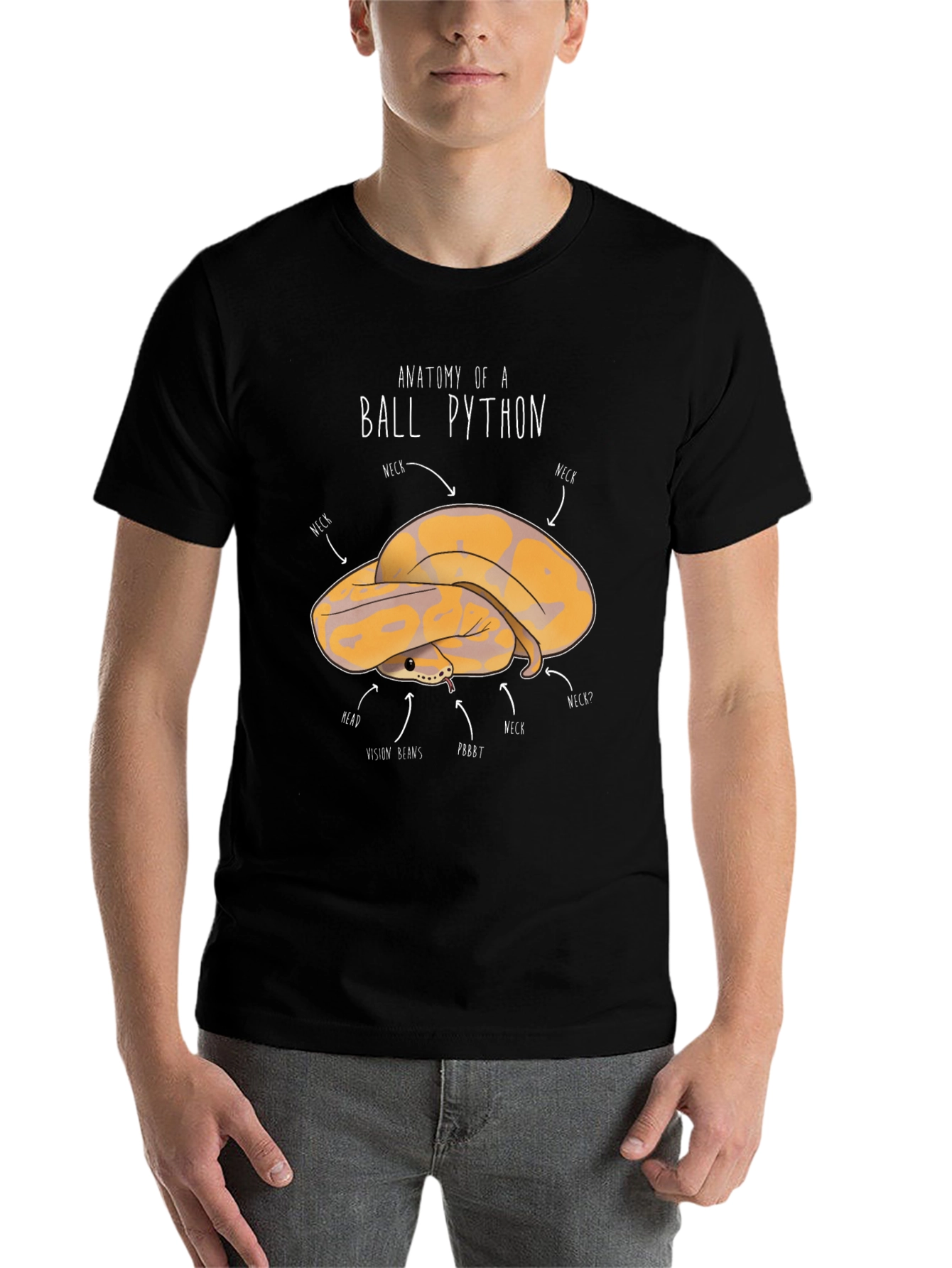 Black Anatomy of a Ball Python T-Shirt view 7