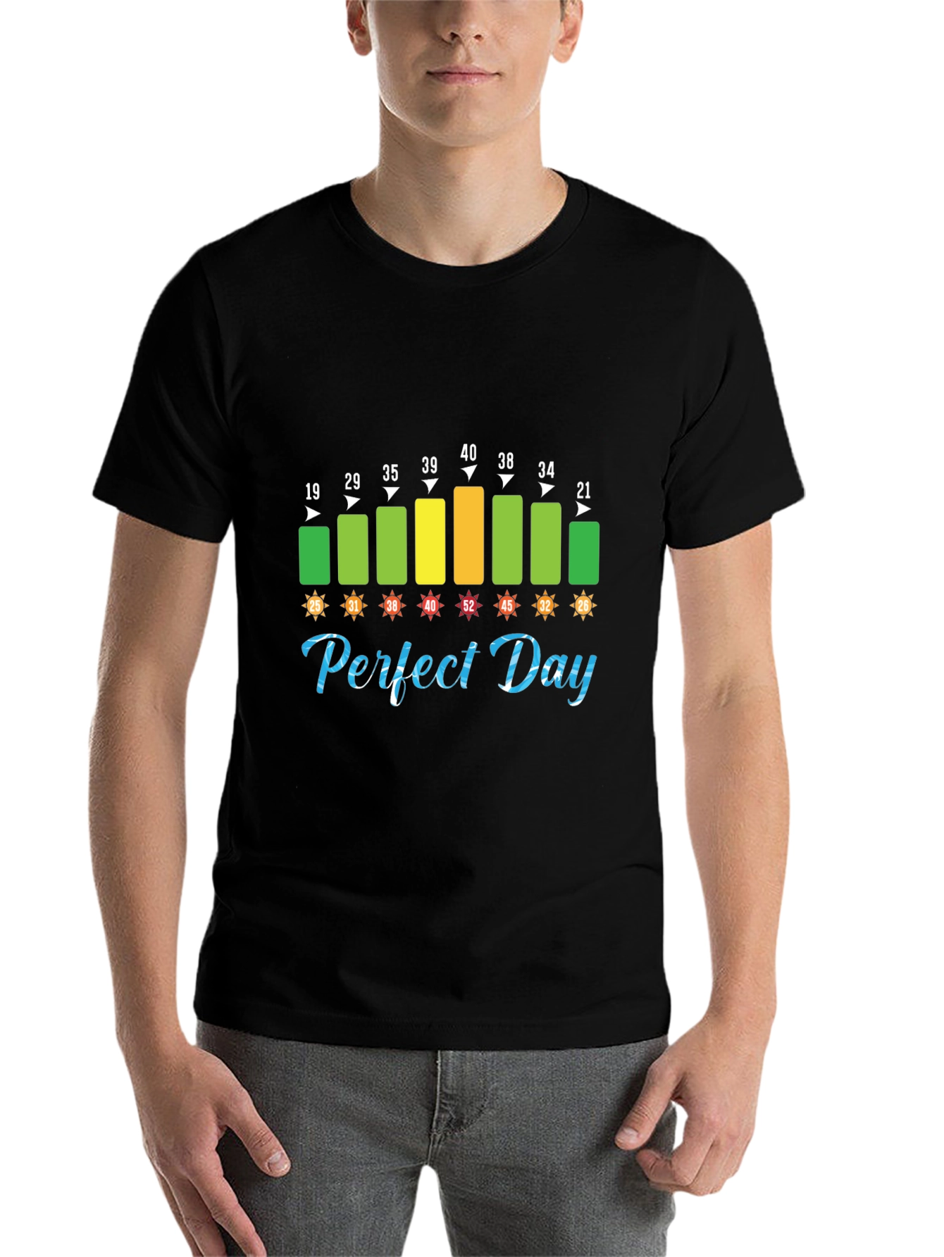 Black Perfect Day Temperature T-Shirt view 7