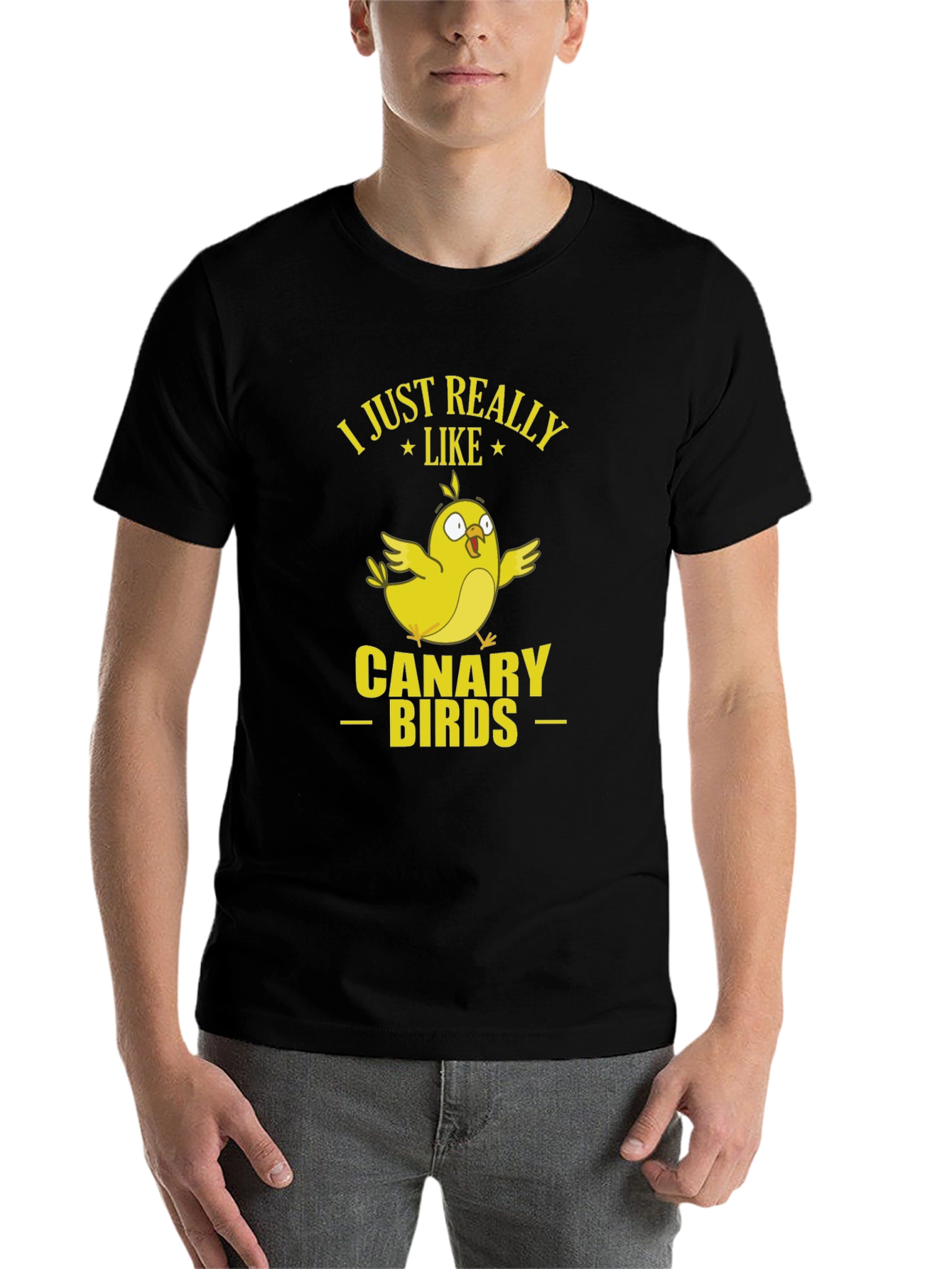 Black I Just Really Like Canary Birds Graphic T-Shirt view 7