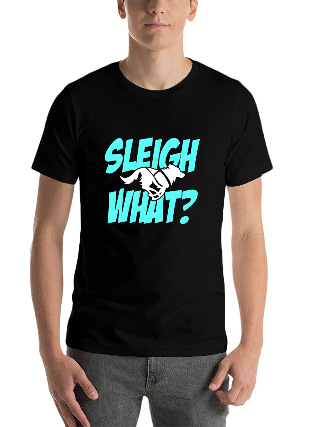 Black Sleigh What? Funny Dog Sledding T-Shirt view 7