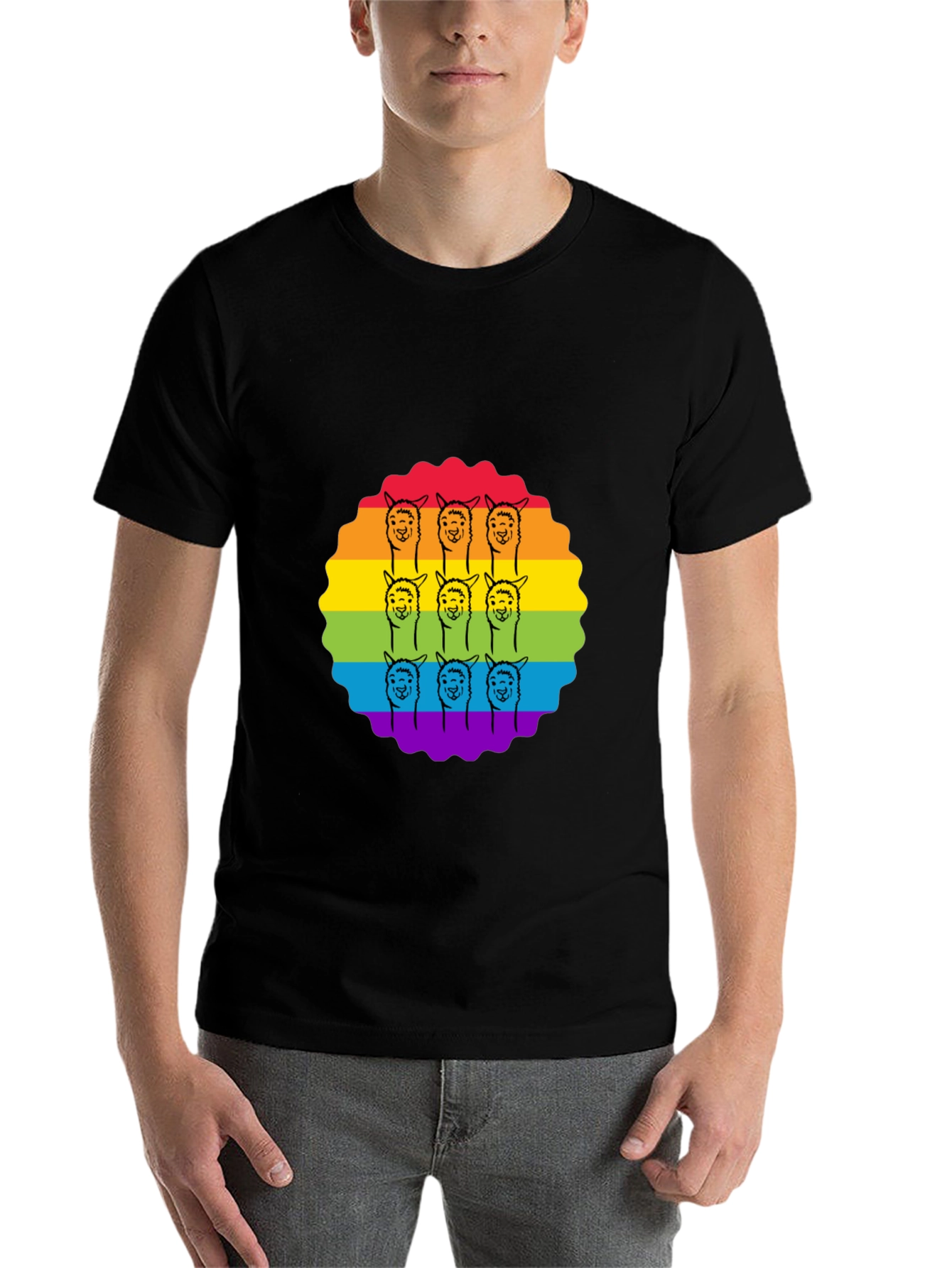 Black Rainbow Alpaca T-Shirt view 7