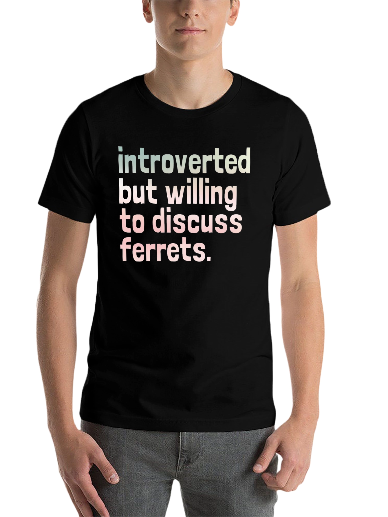 Black Introverted Ferret Discussion T-Shirt view 7