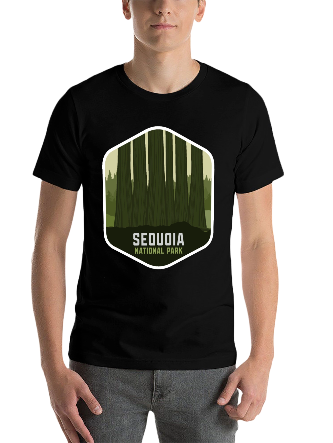 Black Sequoia National Park Graphic Tee - Black view 7