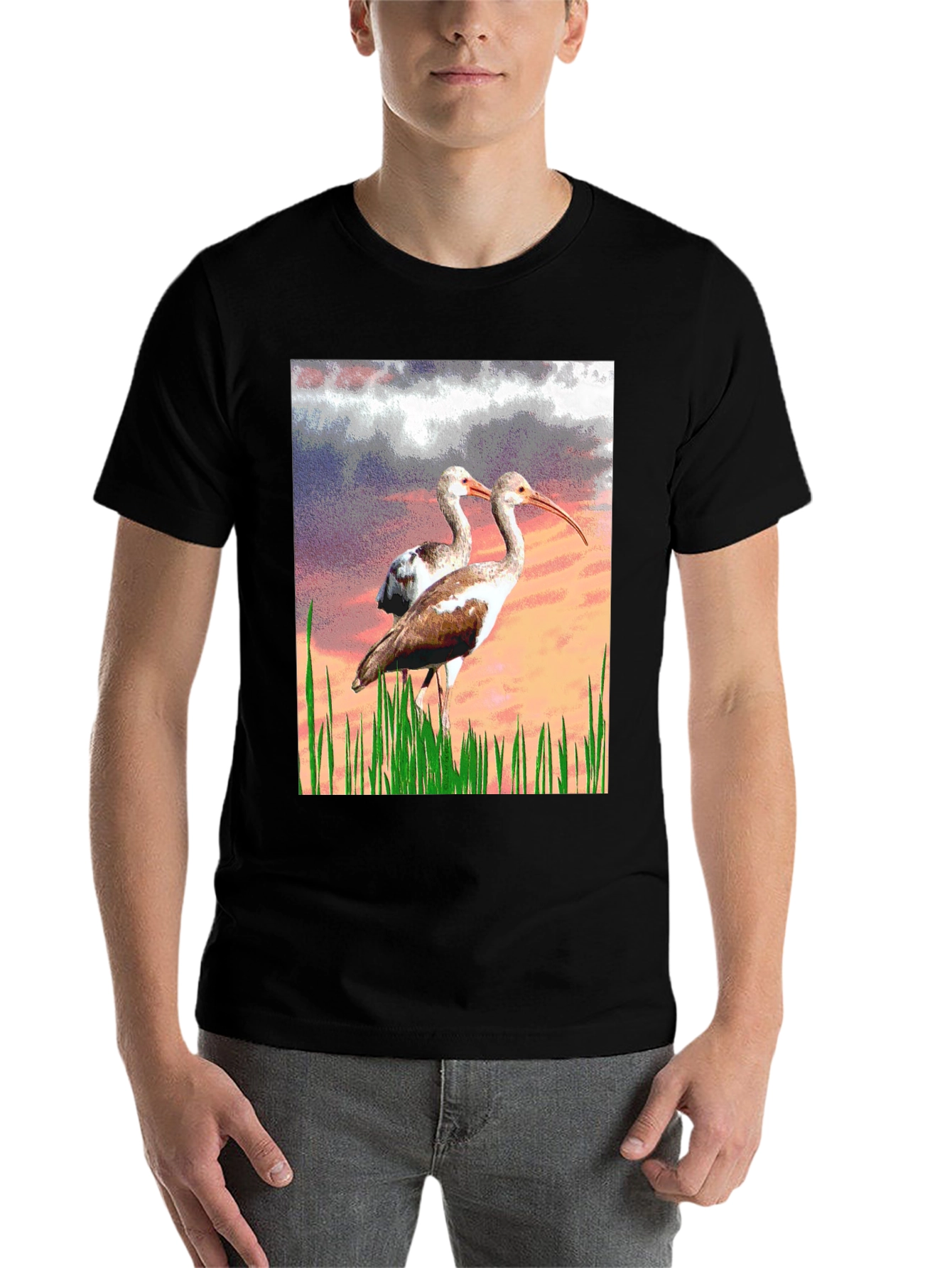Black Ibis Bird Graphic Print Black T-Shirt view 7